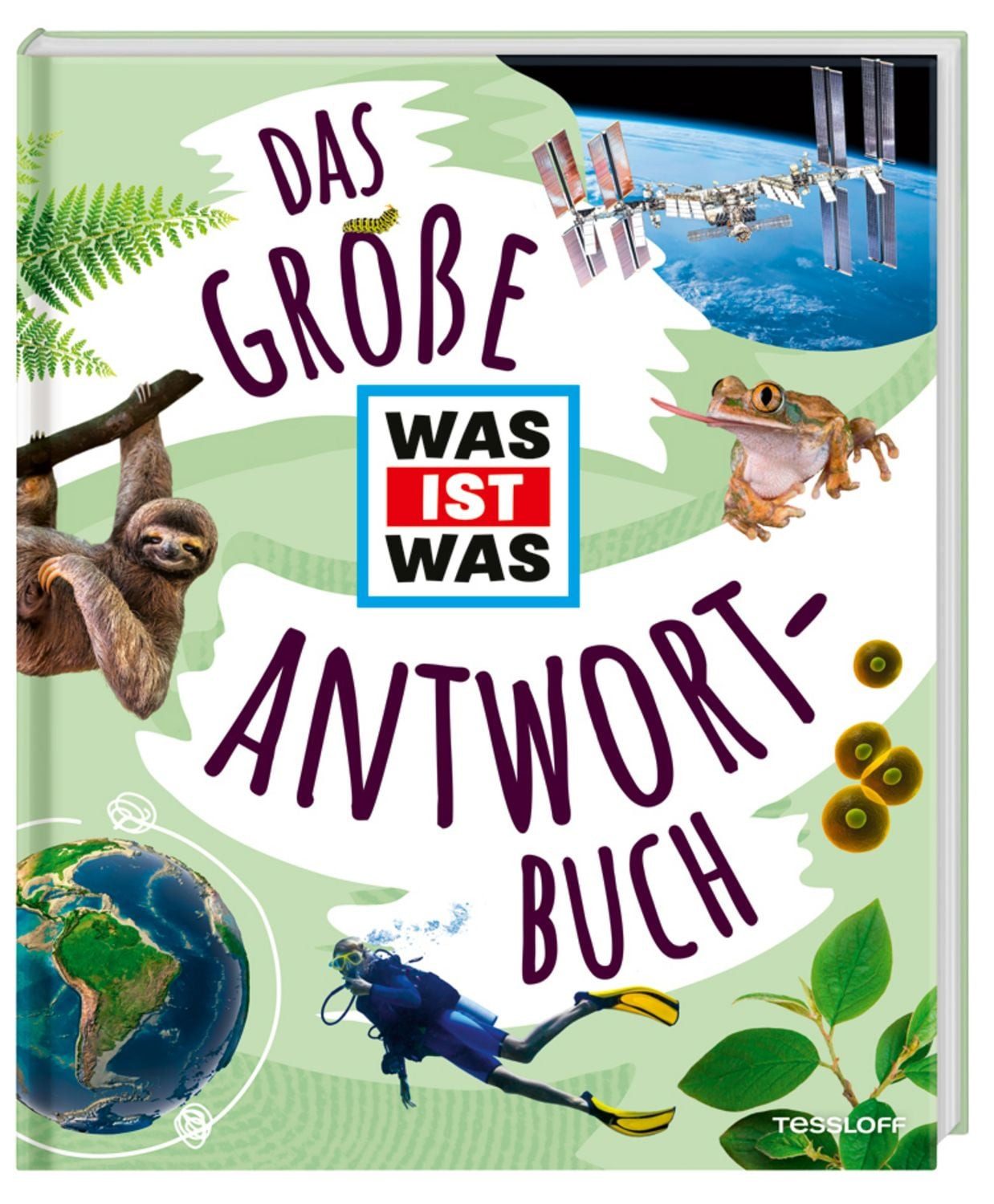 Das große WAS IST WAS Antwortbuch / diverse