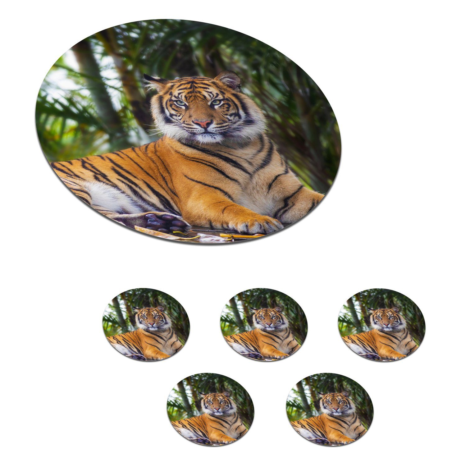 MuchoWow Glasuntersetzer Tiger - Tiere - Wald - Dschungel, Zubehör für Gläser, 6-tlg., Getränkeuntersetzer, Tassenuntersetzer, Korkuntersetzer, Tasse, Becher