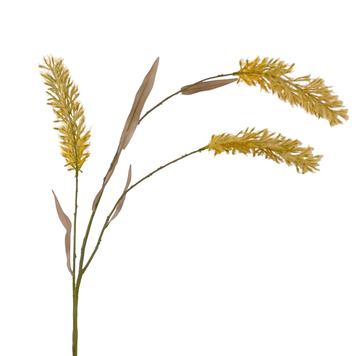 Kunstzweig Künstliches Pampasgras ca. 120cm CREME. Trockenblumen-Optik, Floratexx GmbH, Höhe 120.00 cm