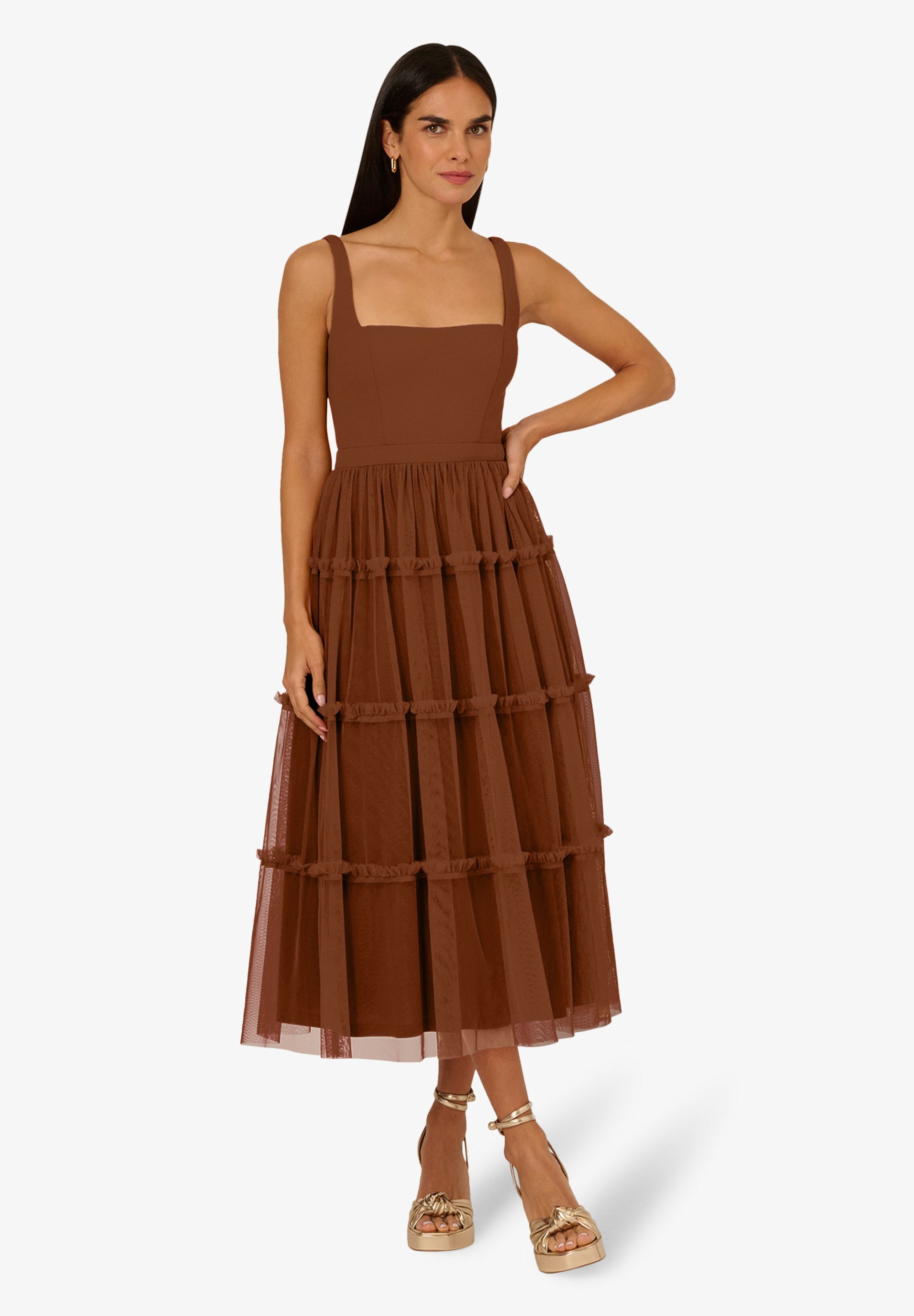 Adrianna Papell Abendkleid Knit and Mesh günstig online kaufen
