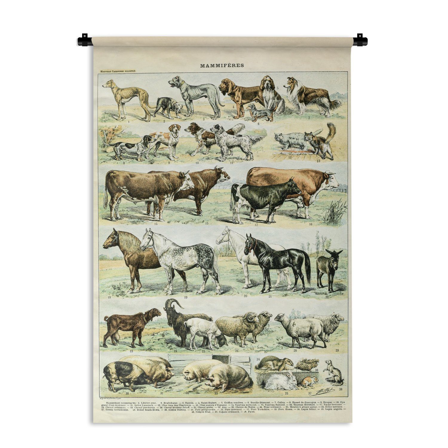 MuchoWow Wanddekoobjekt Tiere - Pferde - Illustration - Vintage - Adolphe Millot, Wanddeko für Wohnzimmer, Schlafzimmer, Kleid, Wandbehang, Kinderzimmer