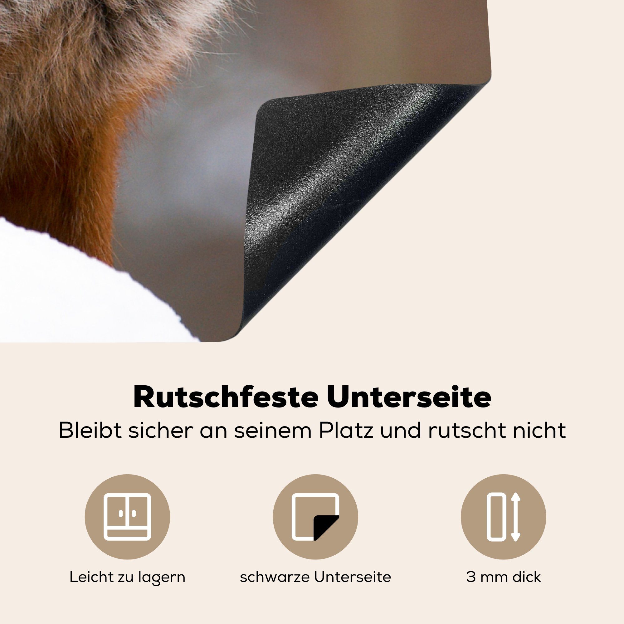 MuchoWow Herdblende-/Abdeckplatte Fuchs - küche 78x78 Wald - Vinyl, cm, Arbeitsplatte tlg), Rot, (1 für Ceranfeldabdeckung