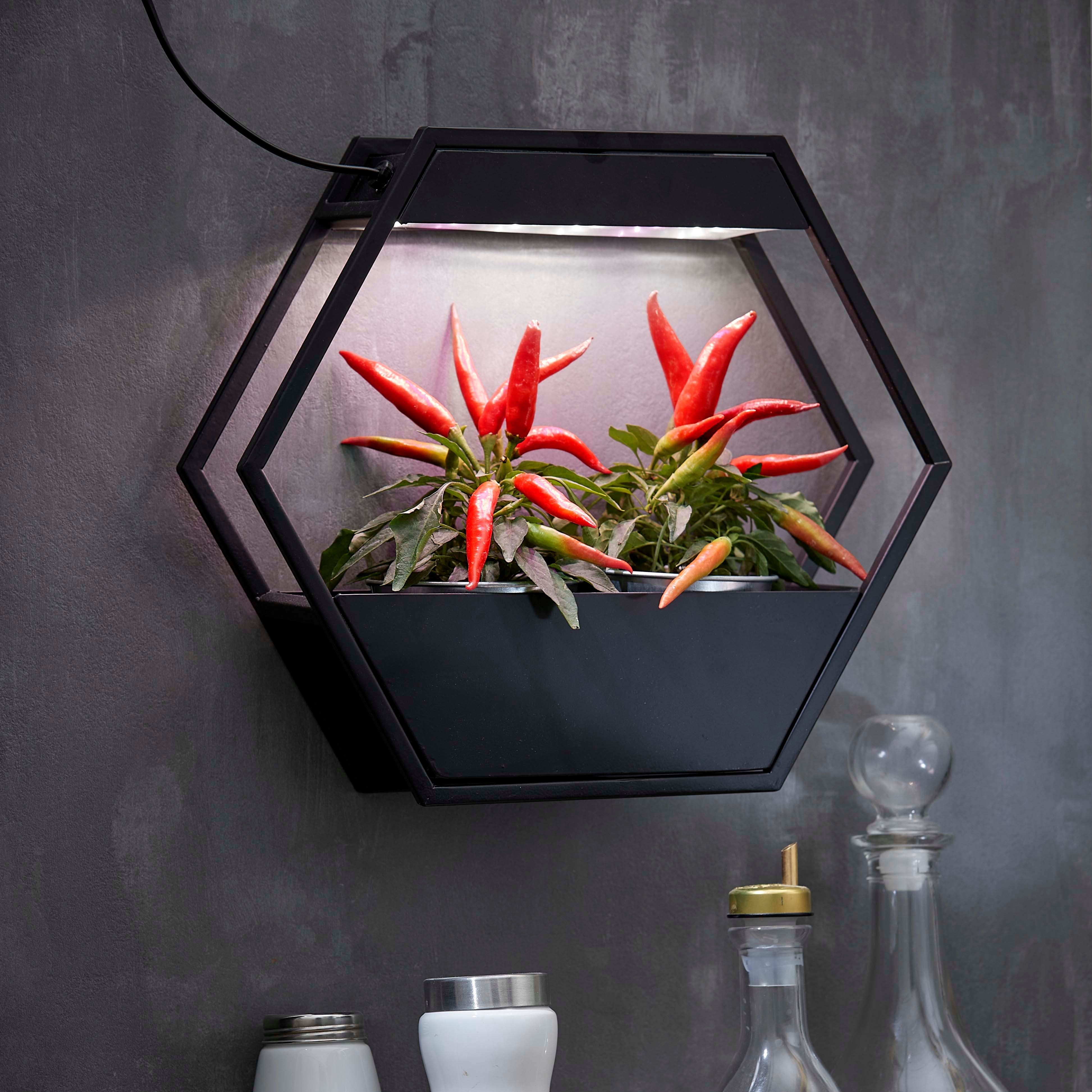 Northpoint Pflanzenlampe LED Pflanzenlampe Pflanzenleuchte Gewächslampe Metallgestell 12W