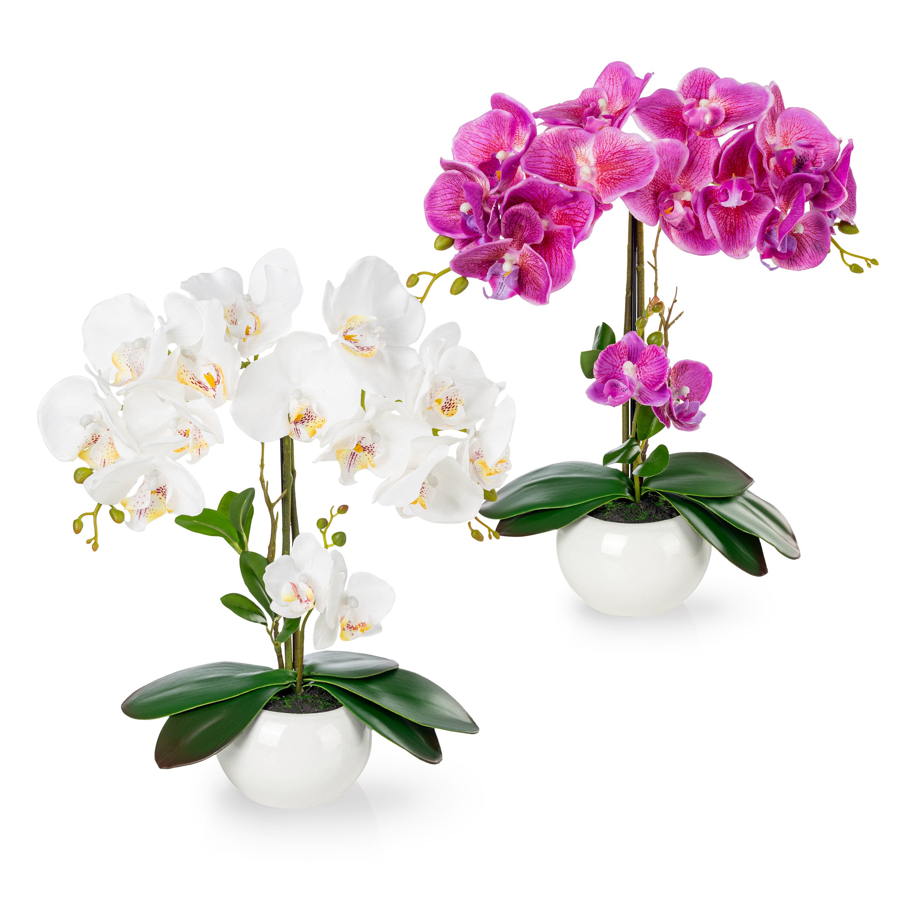 Kunstorchidee PASCH® Orchidee künstlich wie echt (40cm) in Hochglanz-Kerami günstig online kaufen