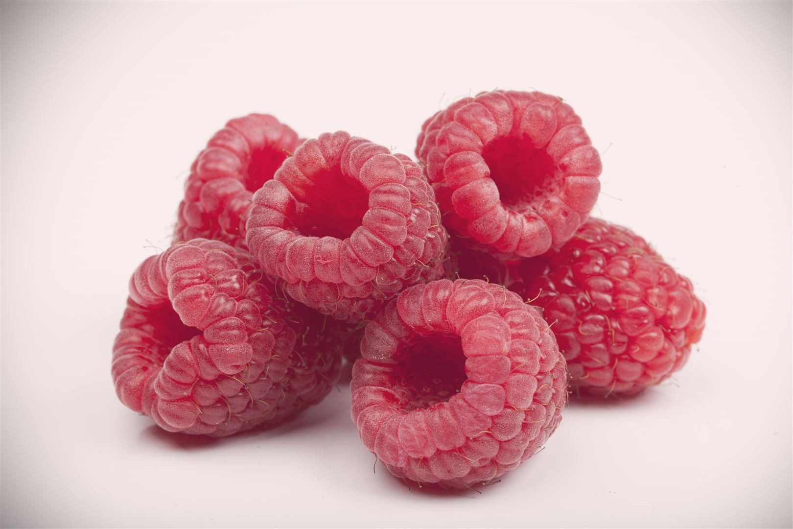 Pflanzen für Dich Obstpflanze Rubus idaeus Boheme, 1 St., Himbeere, Gartenhimbeere, dornenarm, ertragreich