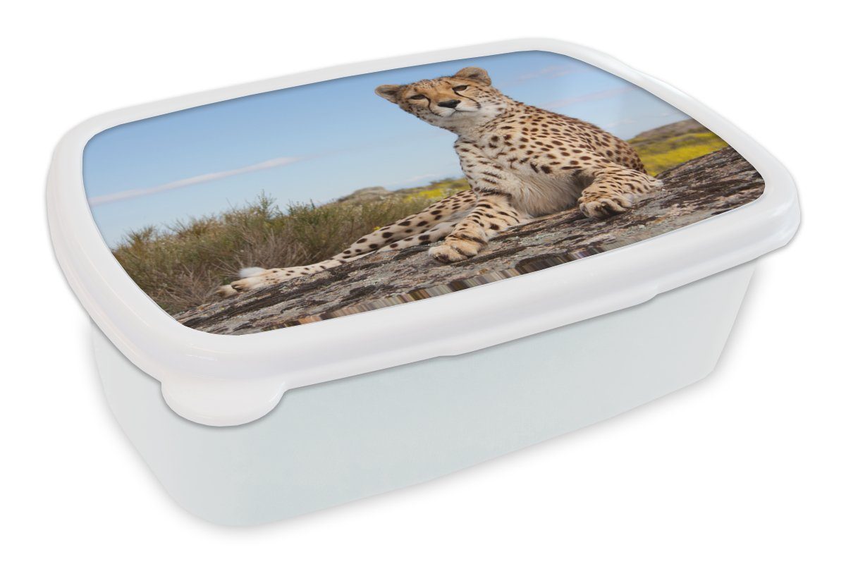 MuchoWow Lunchbox Leopard Jungs Natur, und Tiere Erwachsene, Brotdose, und für - Kunststoff, Mädchen (2-tlg), weiß Brotbox für Kinder 