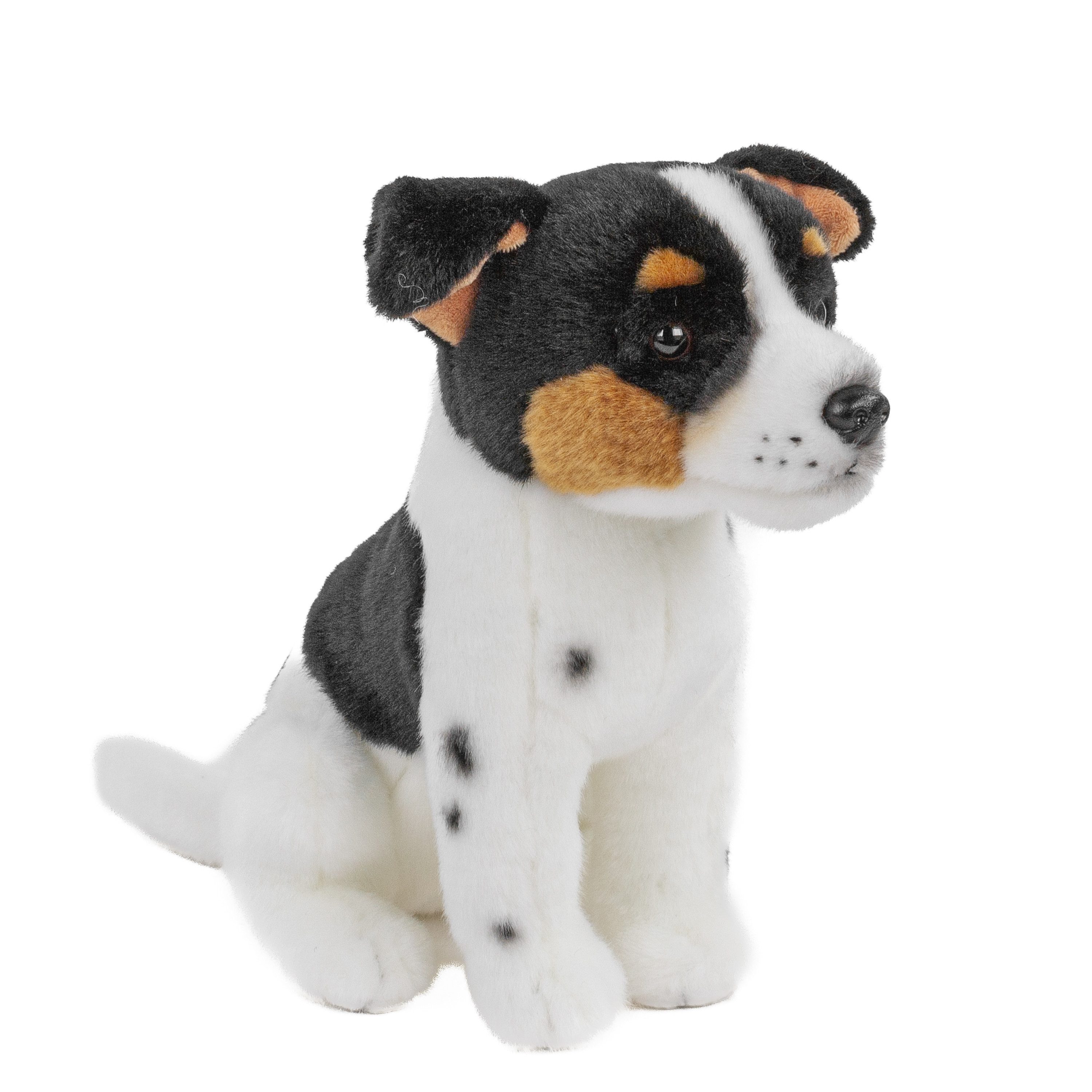 Teddys Rothenburg Kuscheltier Kuscheltier Hund Jack Russell Terrier 29 cm sitzend Plüschhund