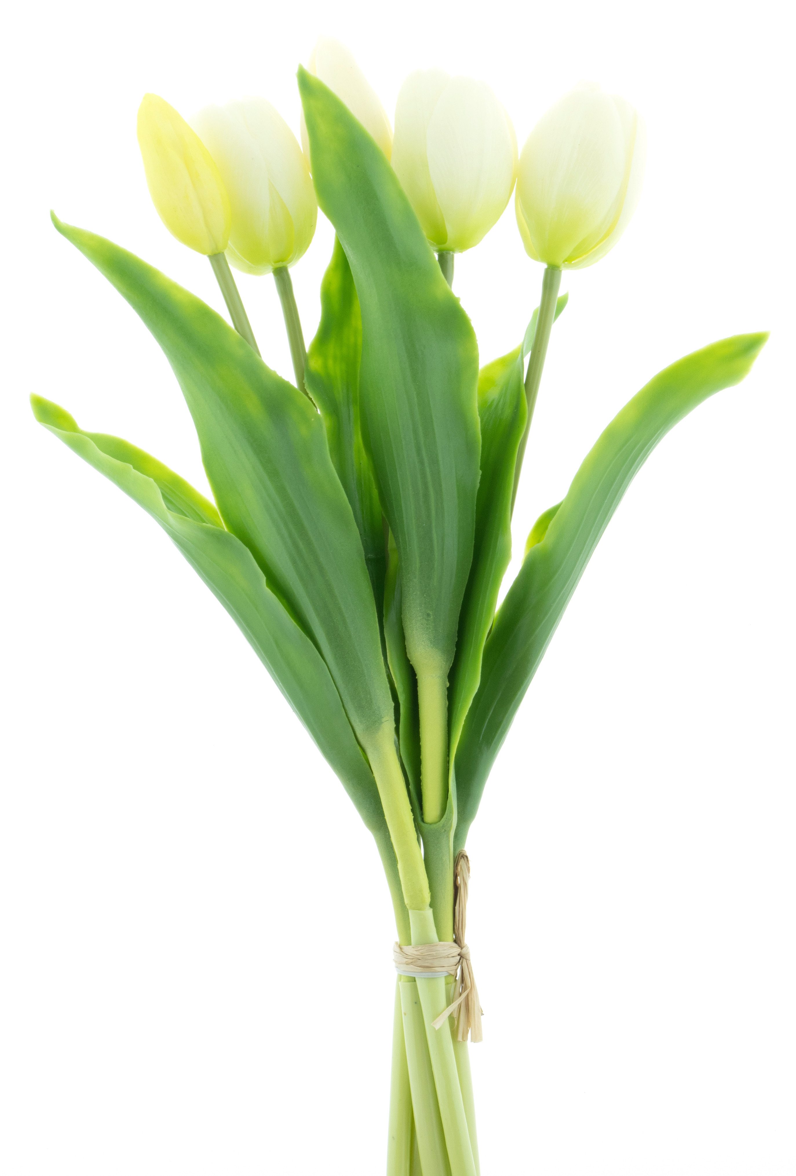 Kunstblumenstrauß Tulpen Holland ca. 36cm Tulpenbündel mit 3 Tulpen und 2 Tulpenknospen, mucPlants