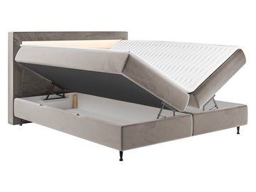 MIRJAN24 Boxspringbett Ovo (zwei Bettkästen für die Bettwäsche), 140/160/180 cm, Polsterkopfteil, Beleuchtung, Metallfüße