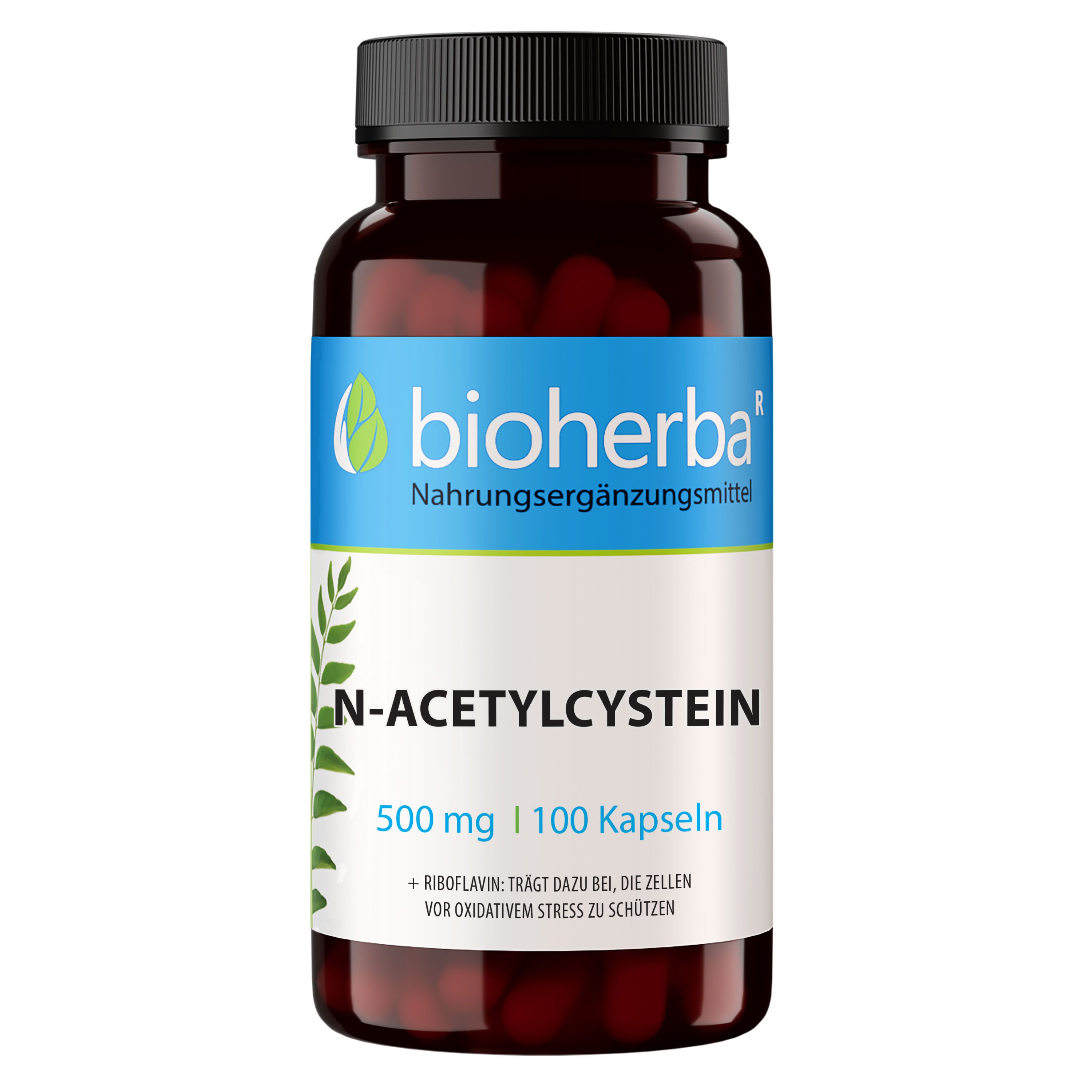 BIOHERBA R Bioherba N-Acetylcystein 500 mg 100 Kapseln Tropfen, 1 er
