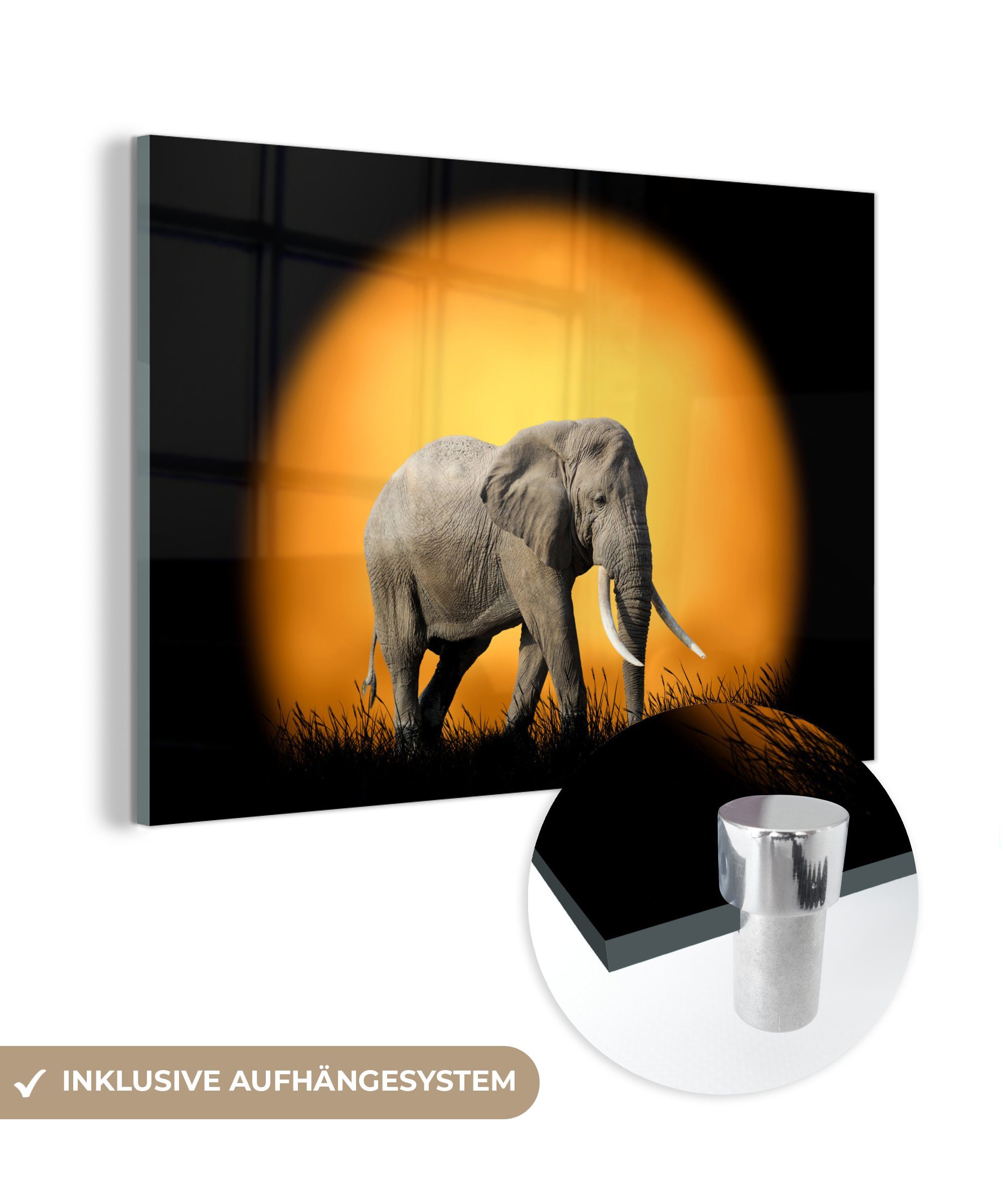 MuchoWow Acrylglasbild Elefant - Sonne - Gras, (1 St), Glasbilder - Bilder auf Glas Wandbild - Foto auf Glas - Wanddekoration