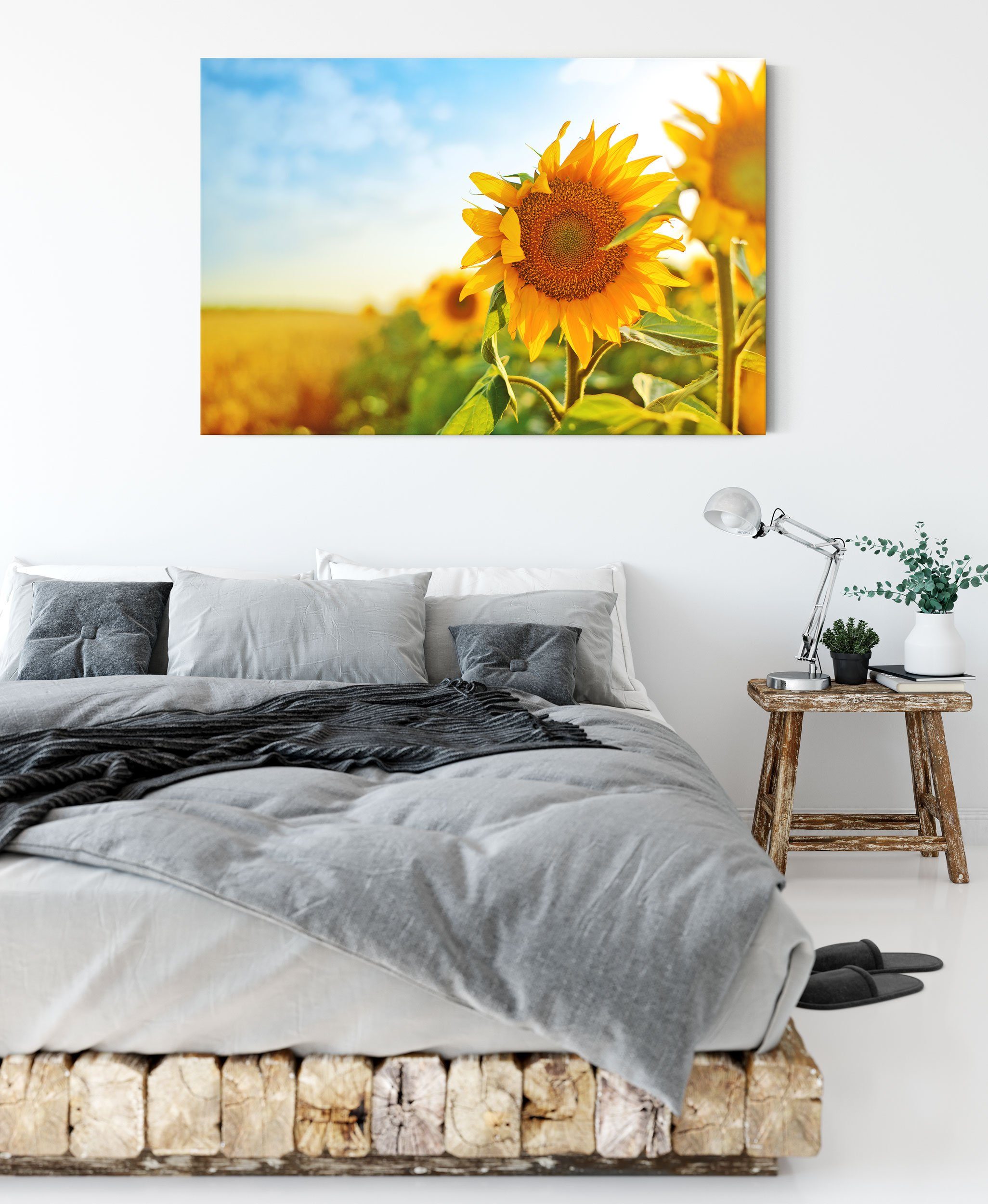 (1 fertig Sonnenblumenfeld, Strahlendes St), bespannt, Zackenaufhänger Leinwandbild Sonnenblumenfeld Pixxprint inkl. Leinwandbild Strahlendes