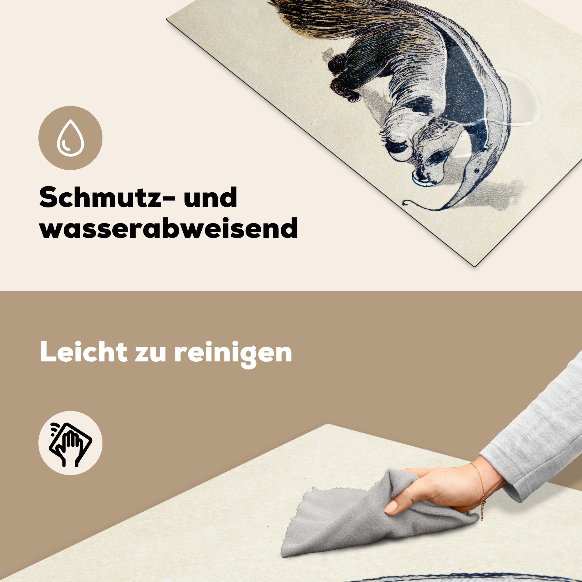 MuchoWow Herdblende-/Abdeckplatte Eine antike Ameisenbären, Arbeitsplatte Illustration tlg), eines (1 cm, riesigen für Vinyl, Ceranfeldabdeckung, 83x51 küche