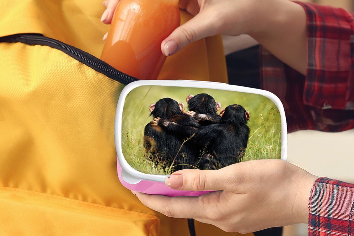 MuchoWow Lunchbox Affe - Gras Kunststoff - Brotdose Kinder, Snackbox, rosa Erwachsene, Mädchen, Tiere, (2-tlg), Brotbox Kunststoff, für