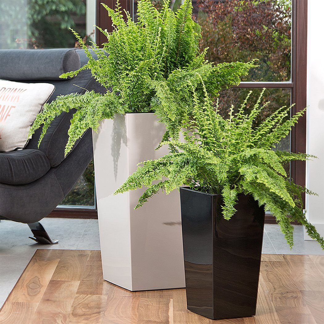 KAGM Pflanzkübel Blumenkübel Blumentopf in Hochglanz günstig online kaufen