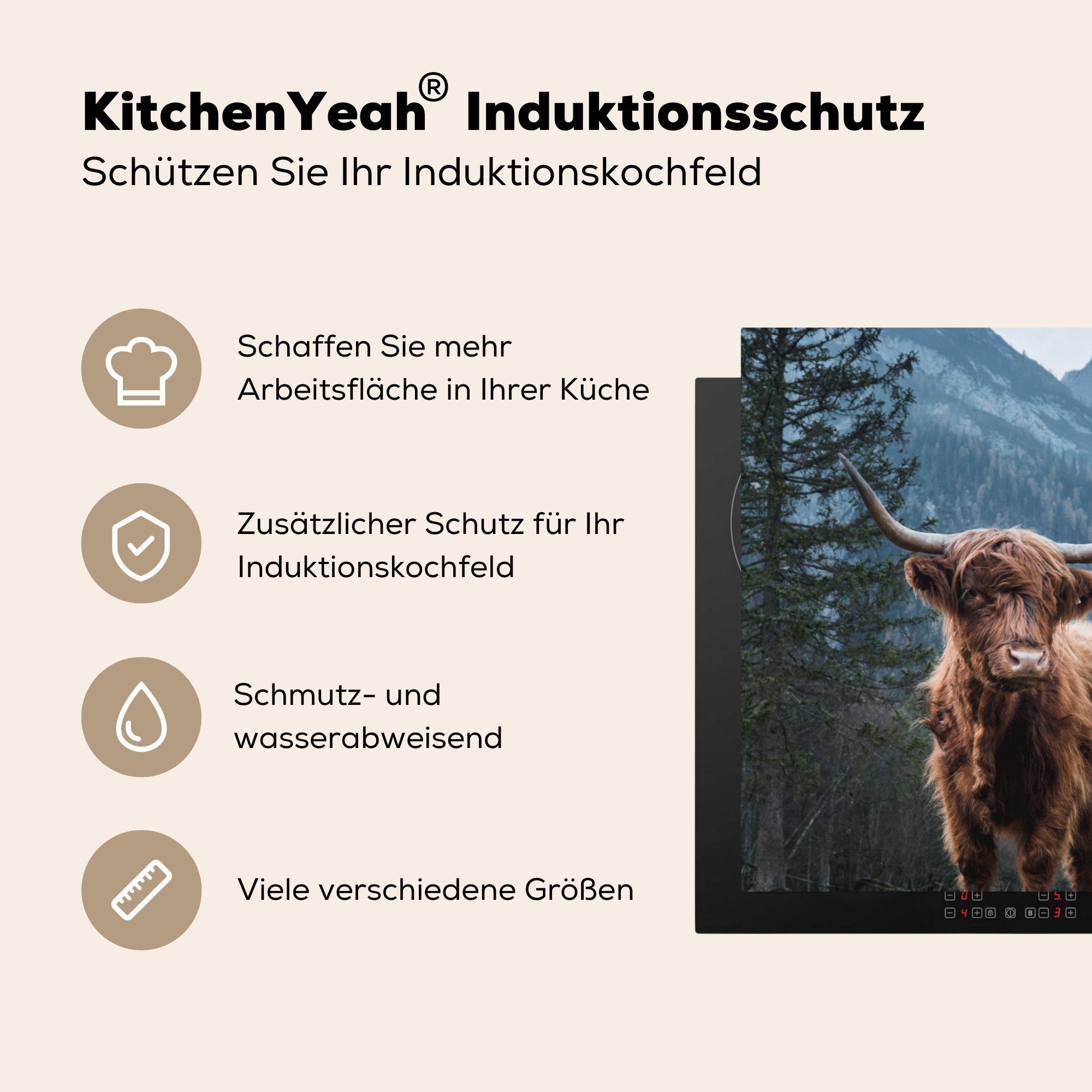 cm, Ceranfeldabdeckung, für küche Natur, (1 78x78 Vinyl, - Herdblende-/Abdeckplatte MuchoWow tlg), Schottischer Highlander Kuh - Arbeitsplatte