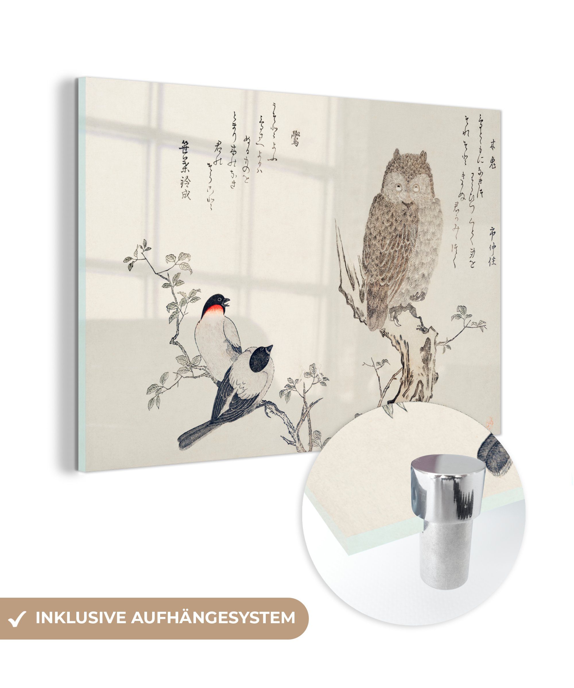 Schlafzimmer Japan, Eule - Acrylglasbilder (1 - St), MuchoWow Wohnzimmer & Acrylglasbild Vogel