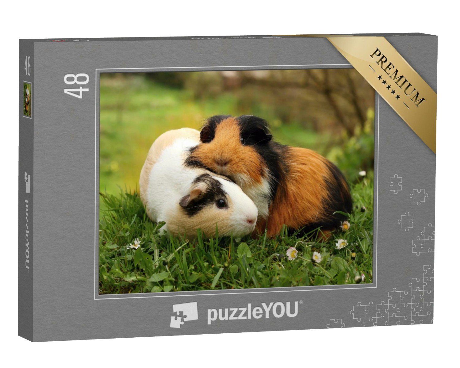 puzzleYOU Puzzle Meerschweinchenfreunde, 48 Puzzleteile, Meerschweinchen puzzleYOU-Kollektionen