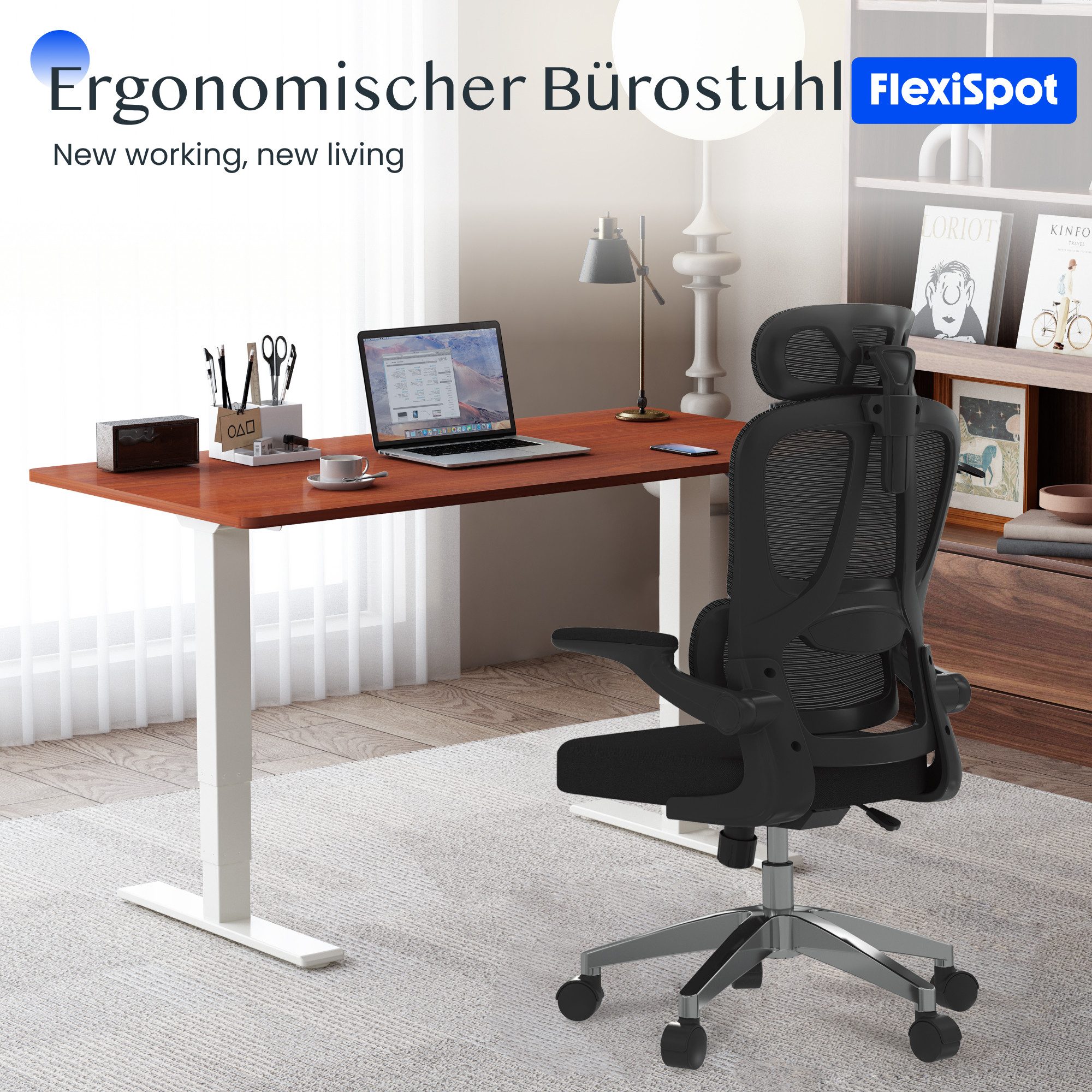 FLEXISPOT Bürostuhl Ergonomischer Schreibtischstuhl (mit 2D-Kopfstütze, günstig online kaufen