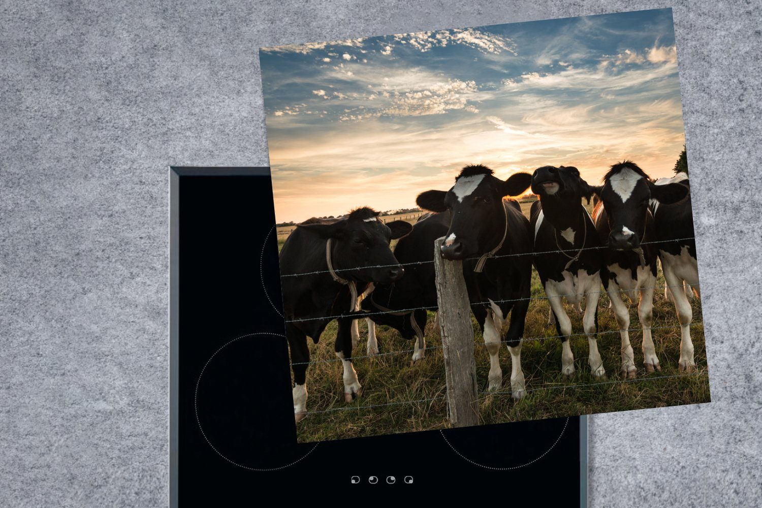 - Kühe Bauernhof, Herdblende-/Abdeckplatte Vinyl, (1 Ceranfeldabdeckung, - Induktionsmatte küche tlg), Induktionsschutz - MuchoWow 78x78 cm, Arbeitsplatte für