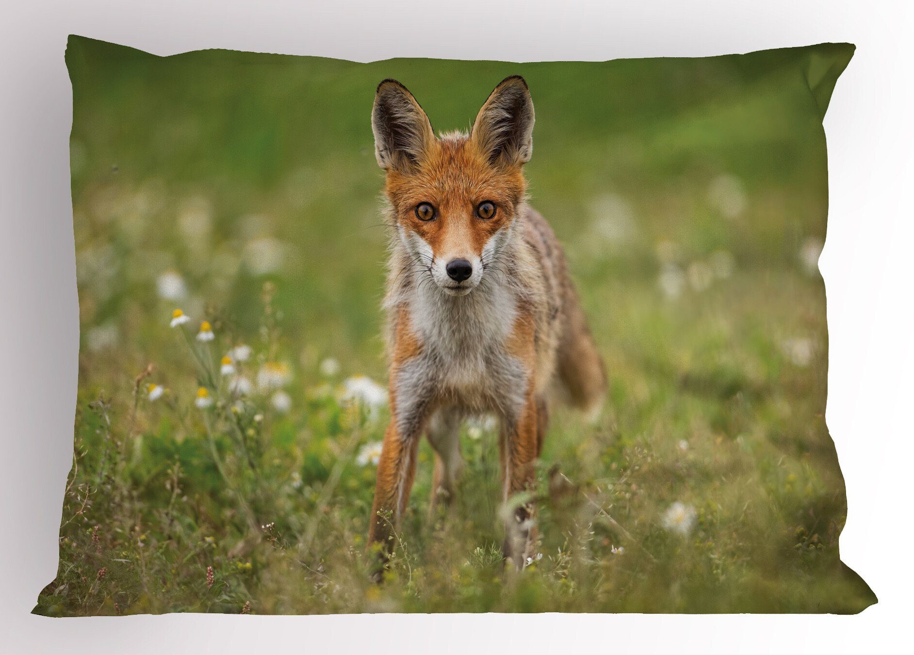 Kissenbezüge Dekorativer Standard King Tier Stück), (1 Coyote Fuchs Neugierige Gedruckter Abakuhaus Junge Size Kissenbezug