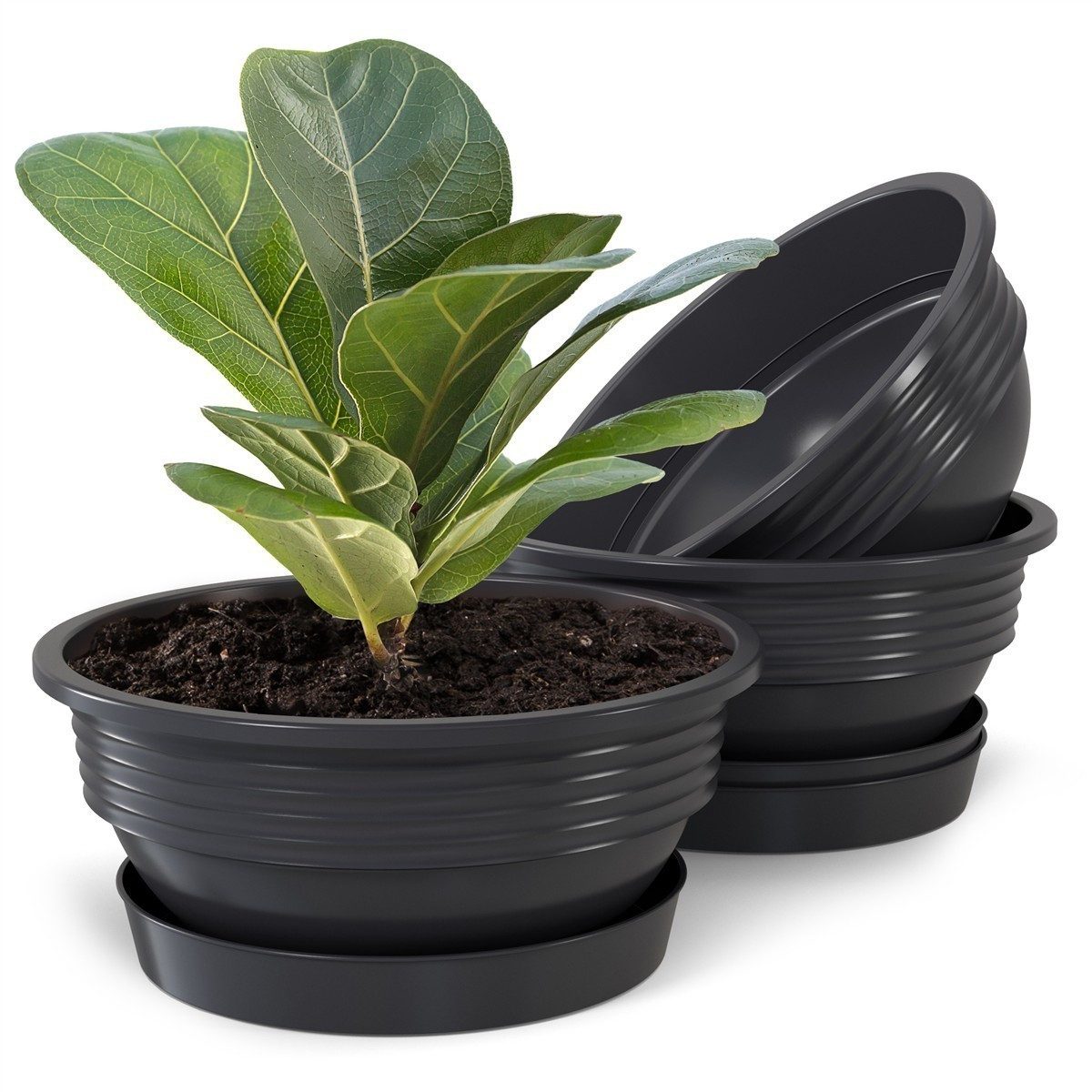 Plastard Pflanzschale 3er, 5er Set Blumenschale verschied. Größen Pflanzgefäß aus Kunststoff (Set, 3 St., Pflanzschale mit Untersetzer), UV-beständig, witterungsbeständig, Optionale Drainagelöcher