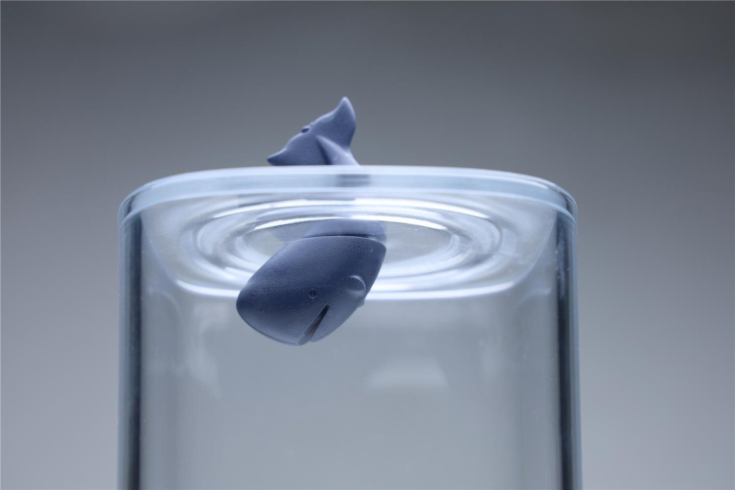 Qualy Design Aufbewahrungsdose Polar Ocean Container (Kunststoff, mit "Eisbär" oder "Wal" im Deckel), ca. 9 x 9 x 11 cm