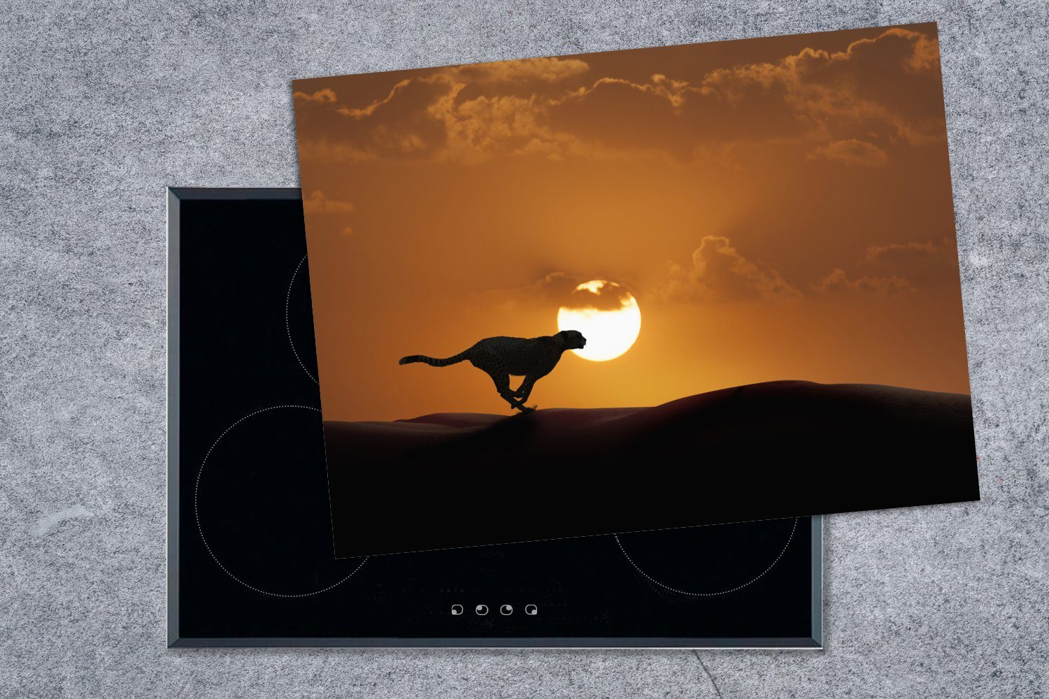 Silhouette, - - 70x52 cm, Sonnenuntergang nutzbar, Herdblende-/Abdeckplatte Arbeitsfläche tlg), MuchoWow Mobile Gepard Ceranfeldabdeckung Vinyl, (1