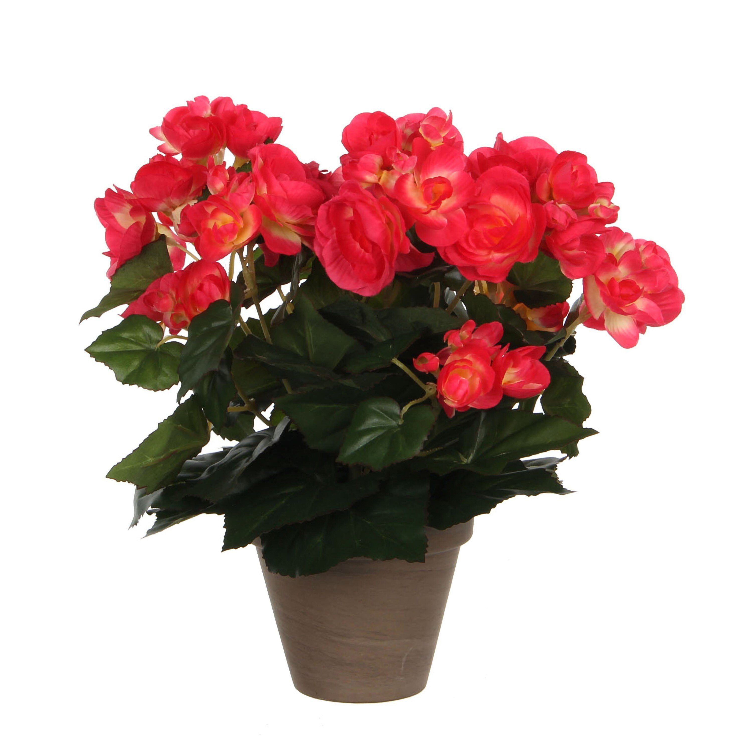 Kunstpflanze Mica Decorations Begonia d.rosa in Topf Stan grau d11,5cm - h30xd25cm, Mica Decorations, Höhe 30 cm