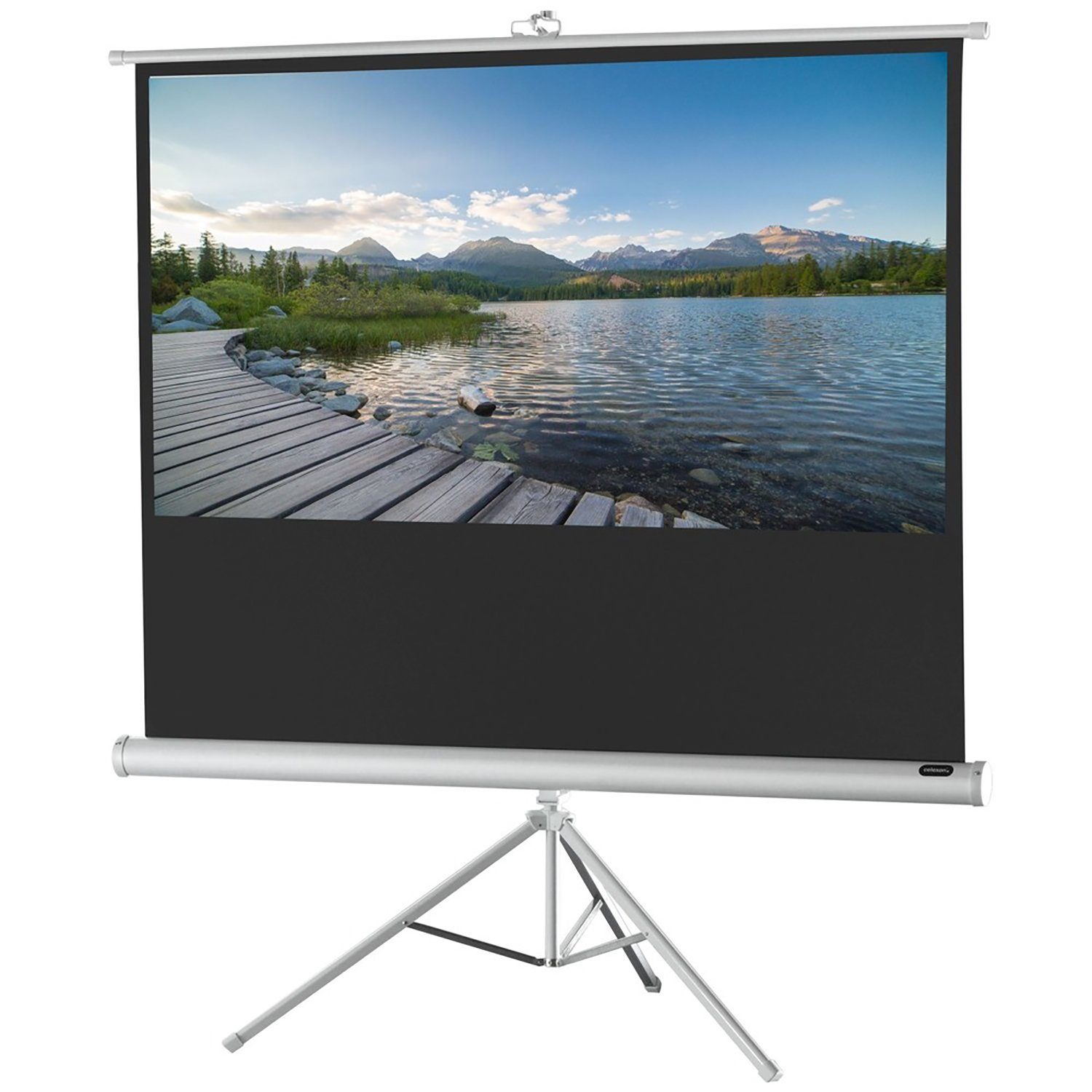 Celexon Economy White Edition Stativleinwand (schwarze Rückseite)