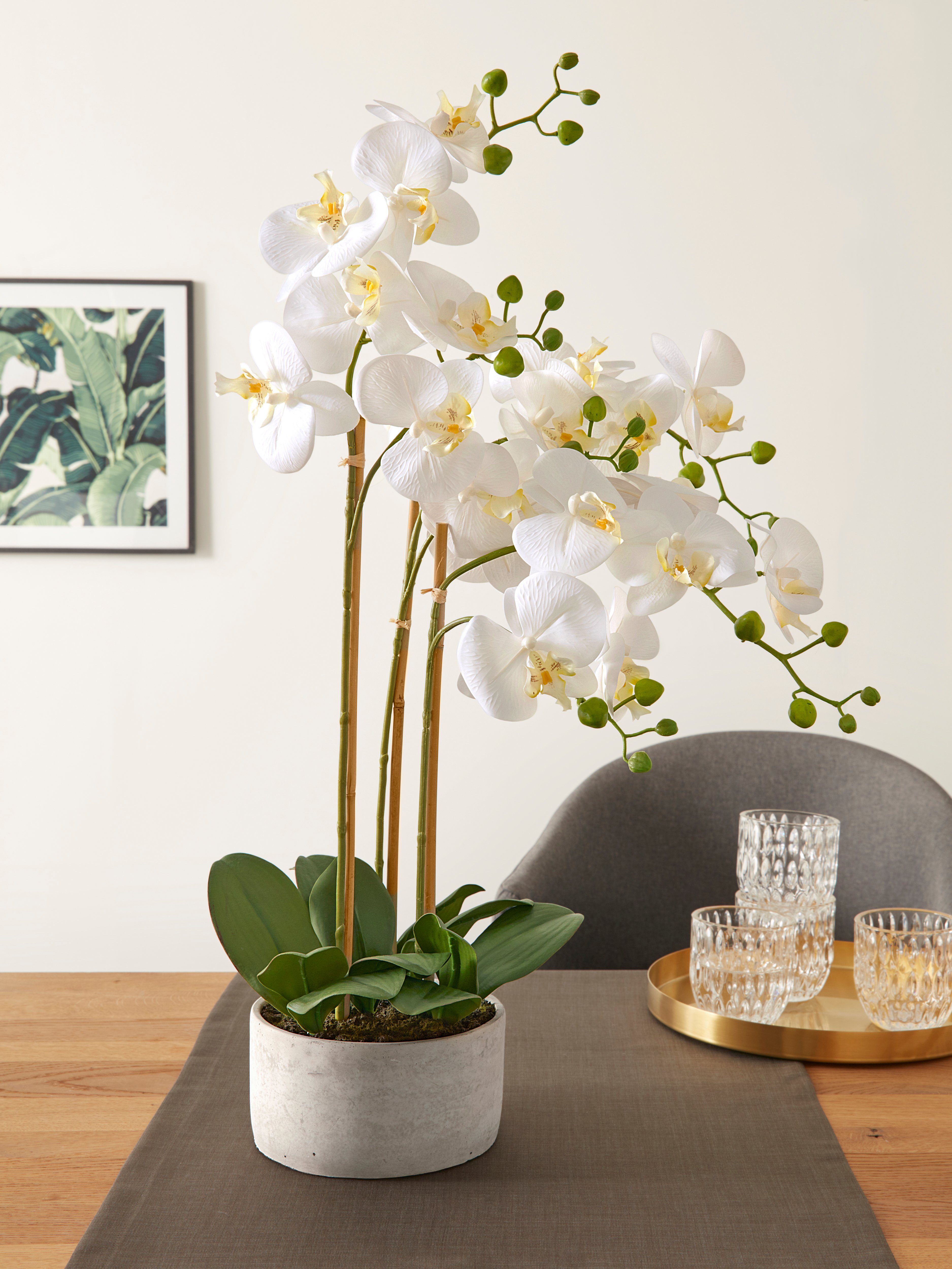 Kunstpflanze Lilington Orchidee, Timbers, Höhe 65 cm, im Zementtopf,  Kunstorchidee