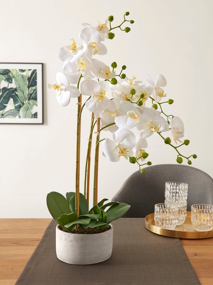Kunstpflanze Lilington Orchidee, Timbers, Höhe 65 cm, im Zementtopf,  Kunstorchidee