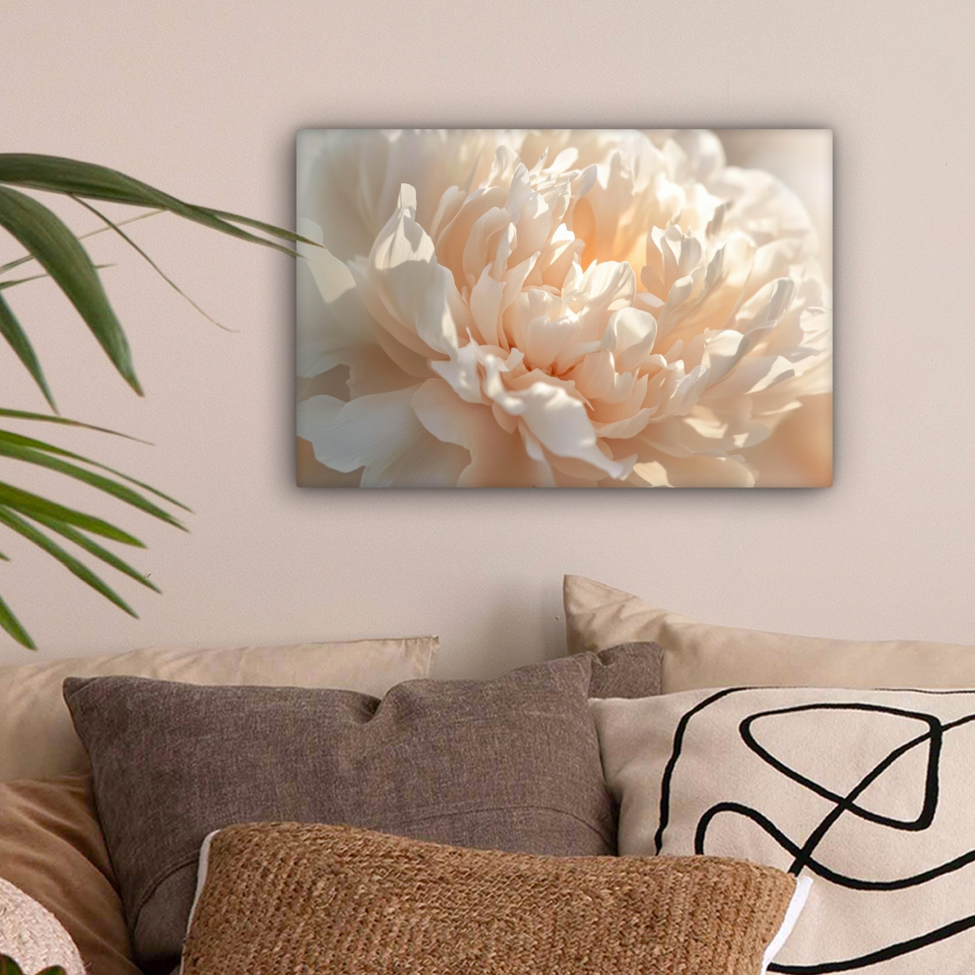 OneMillionCanvasses® Leinwandbild Nahaufnahme - Pfingstrose - Hellrosa, Fot günstig online kaufen