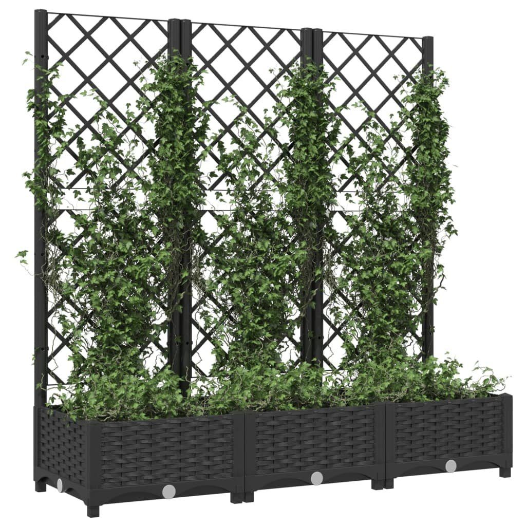vidaXL Rankgitter 120 x 40 x 1215 cm Pflanzkübel mit Spalier Schwarz 120x40x121,5 cm Kun