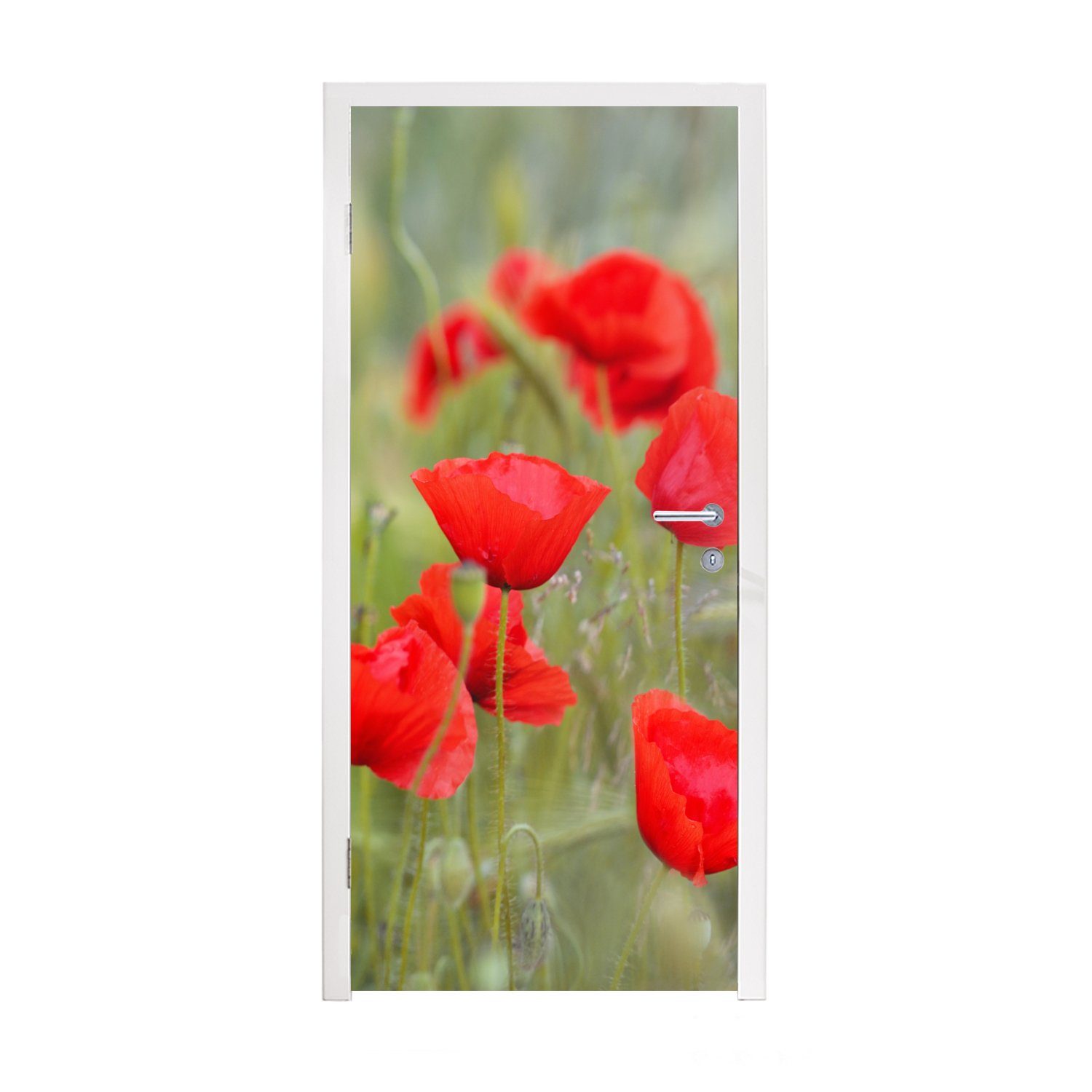 MuchoWow Türtapete Rote Mohnblumen im Gras, Matt, bedruckt, (1 St), Fototapete für Tür, Türaufkleber, 75x205 cm