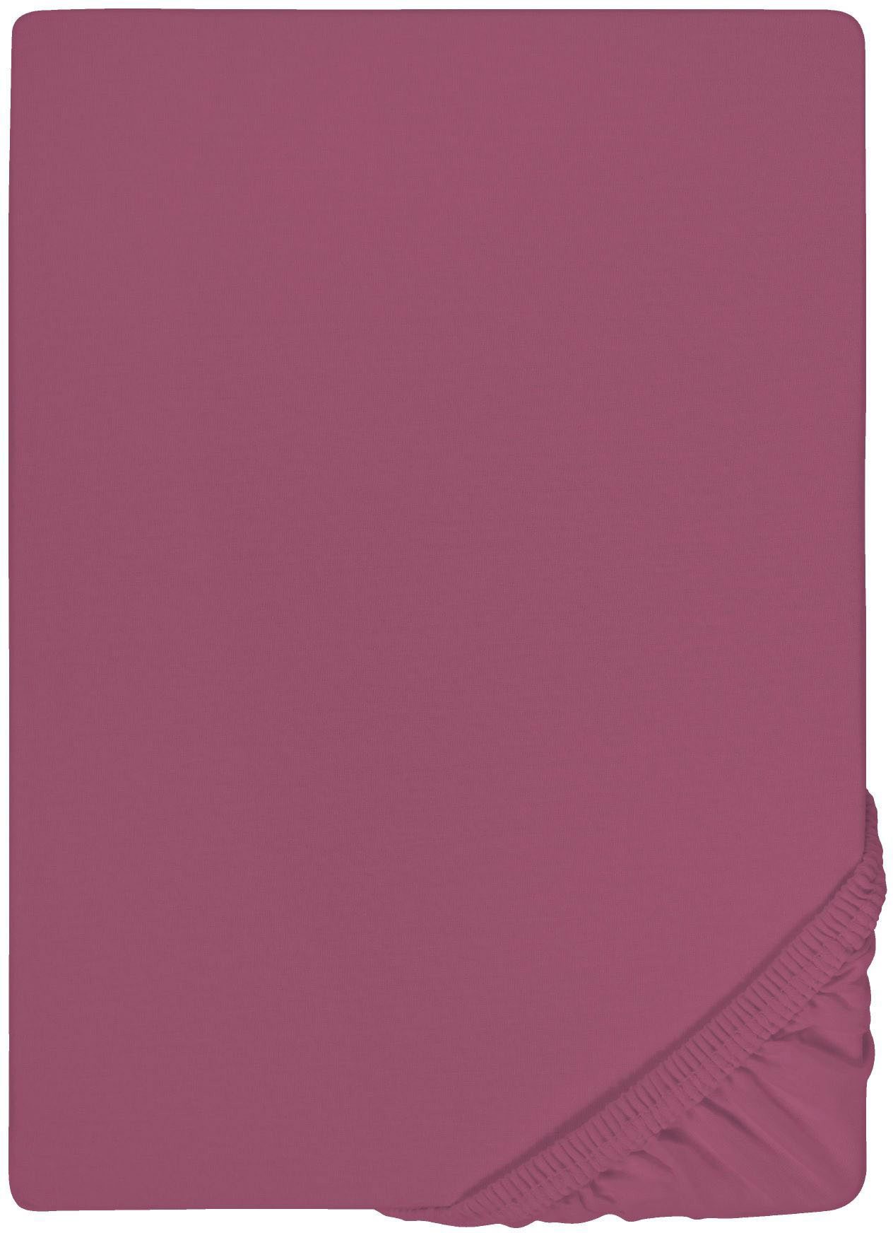 Biberna Spannbettlaken 0077866 Deluxe Jersey-Elastic Spannbetttuch 97% Baumwolle, Jersey-Elasthan, Gummizug: rundum, (1 Stück), Jersey mit Elasthan, Rundumgummi, bügelfrei, ab Größe 90 x 190 cm i