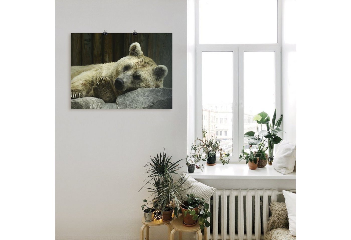 Artland Wandbild »Bär I«, Wildtiere (1 Stück), in vielen Größen & Produktarten -Leinwandbild, Poster, Wandaufkleber / Wandtattoo auch für Badezimmer geeignet-HomeTrends