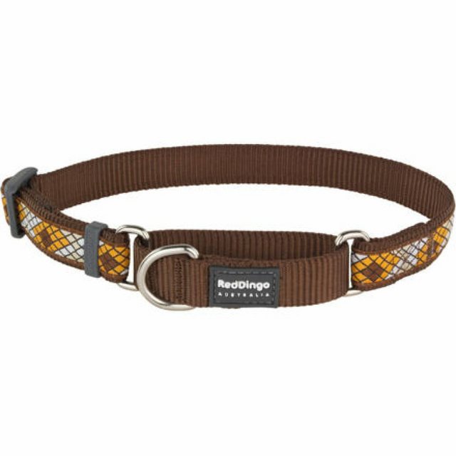 Red Dingo Hunde-Halsband “Ob. pol. RD 20 mm x 33-50 cm – Monty Brown”, Nylon