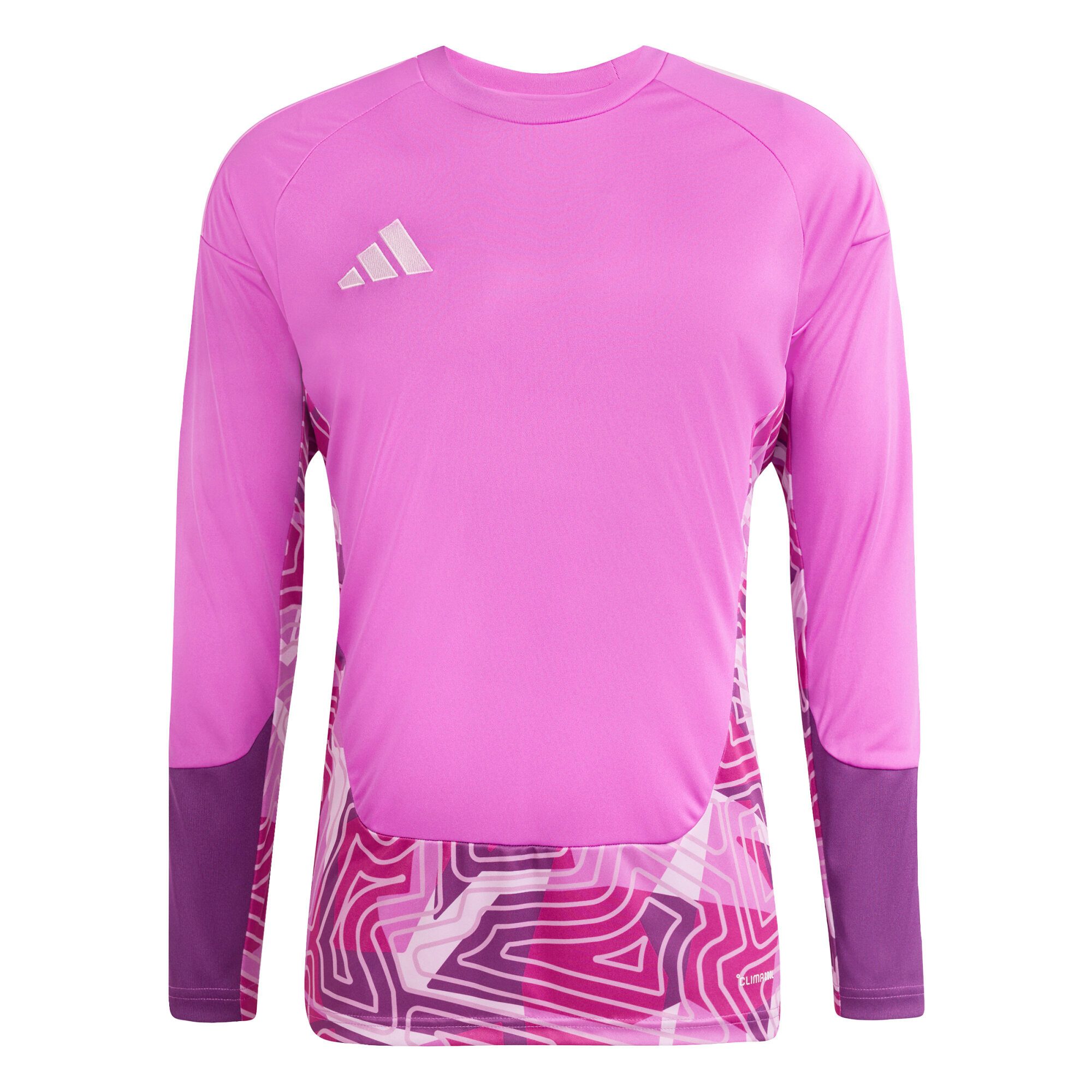 Torwarttrikot adidas Herren Torwarttrikot Tiro 26 Competition GK LS Jersey