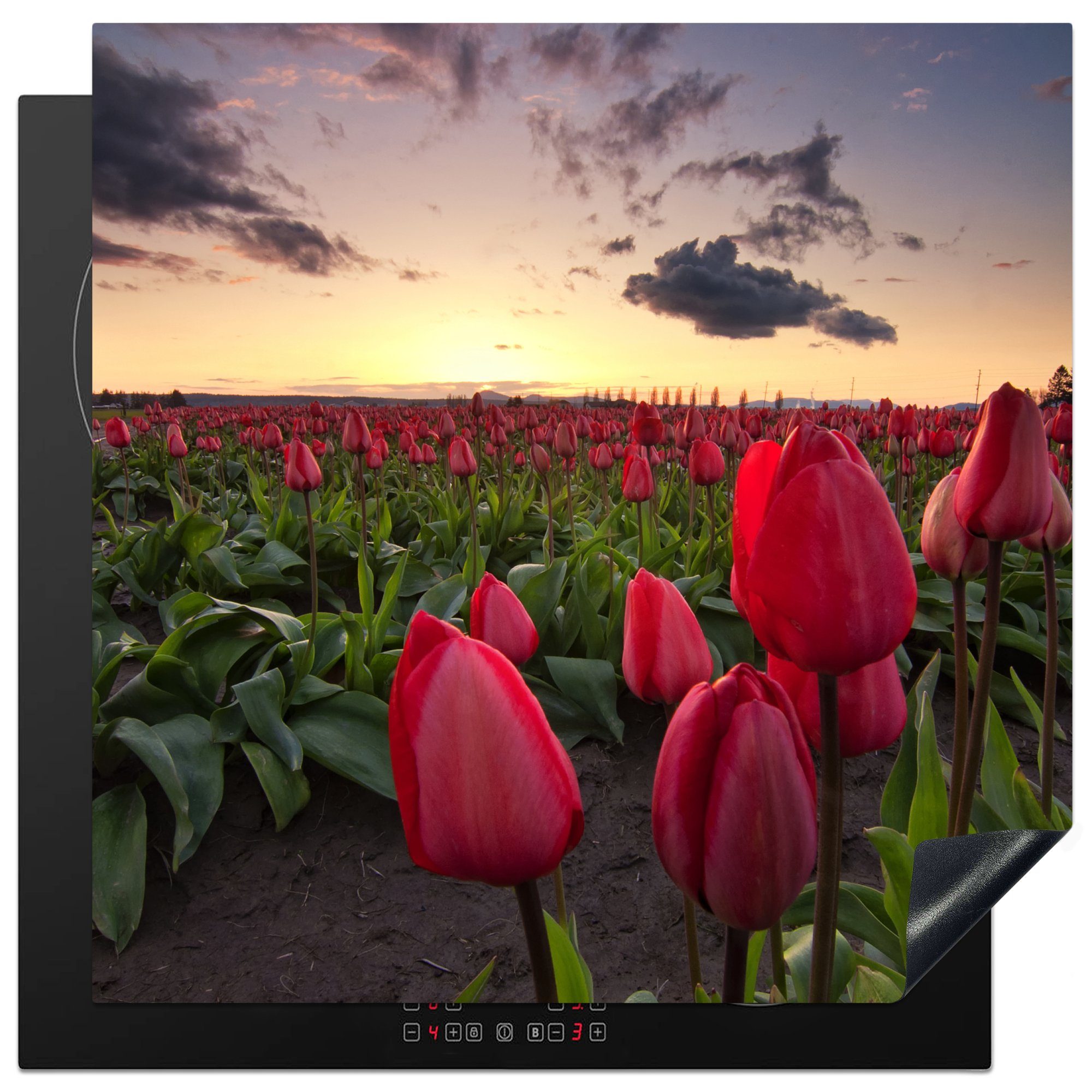 MuchoWow Herdblende-/Abdeckplatte Rote Tulpen und ein Sonnenuntergang, Vinyl, (1 tlg), 78x78 cm, Ceranfeldabdeckung, Arbeitsplatte für küche