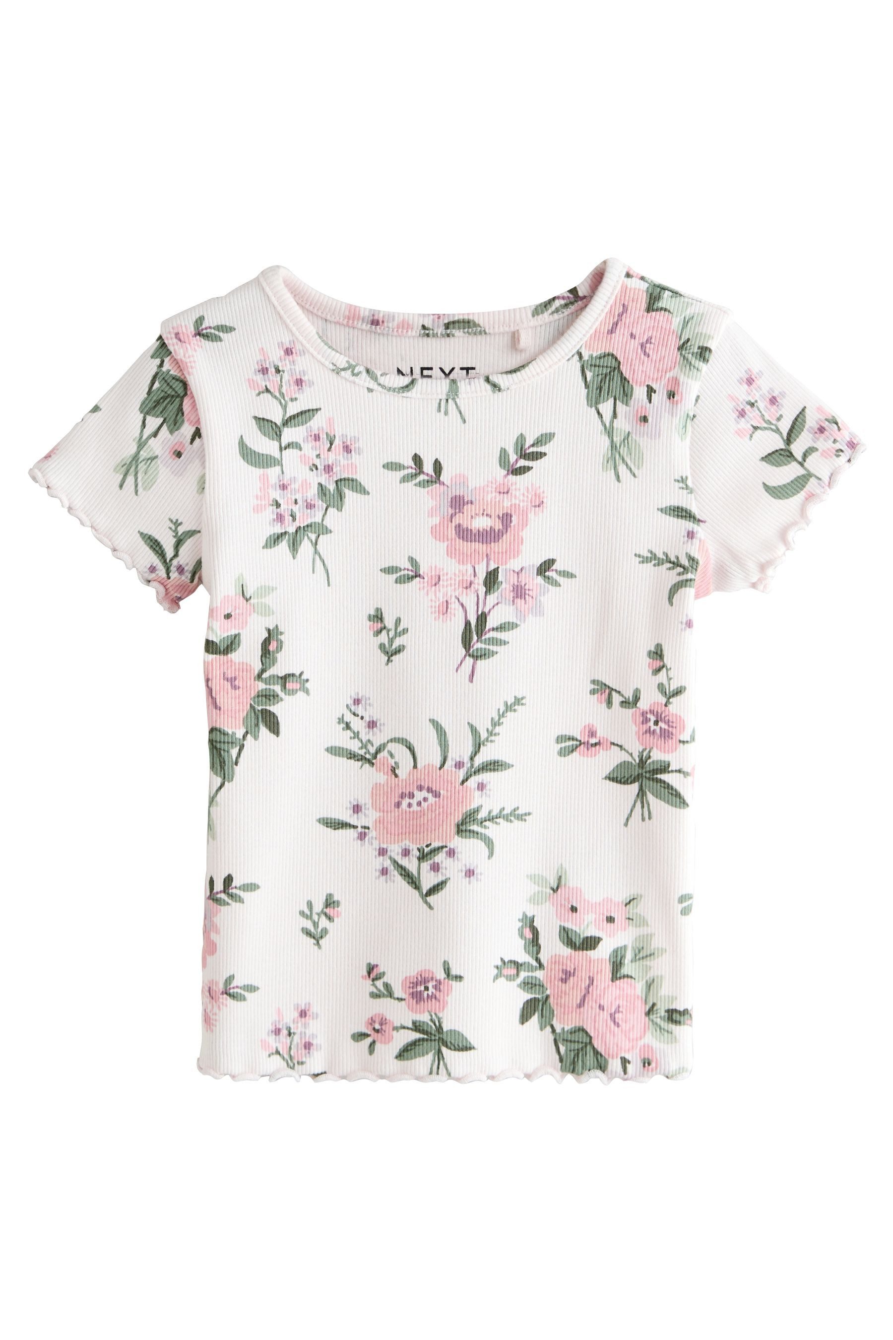 Next T-Shirt Gerippte kurzärmelige Oberteile, 5er-Pack (5-tlg) – Bild 4 von 5