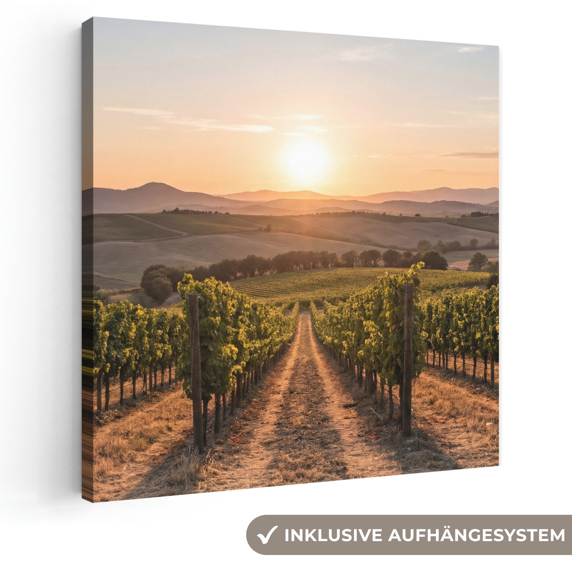 OneMillionCanvasses® Leinwandbild Weinberg - Sonnenuntergang - Landschaft, Fotodruck (1 St), Wandbild, Deko Schlafzimmer Wohnzimmer Flur 20x20 cm
