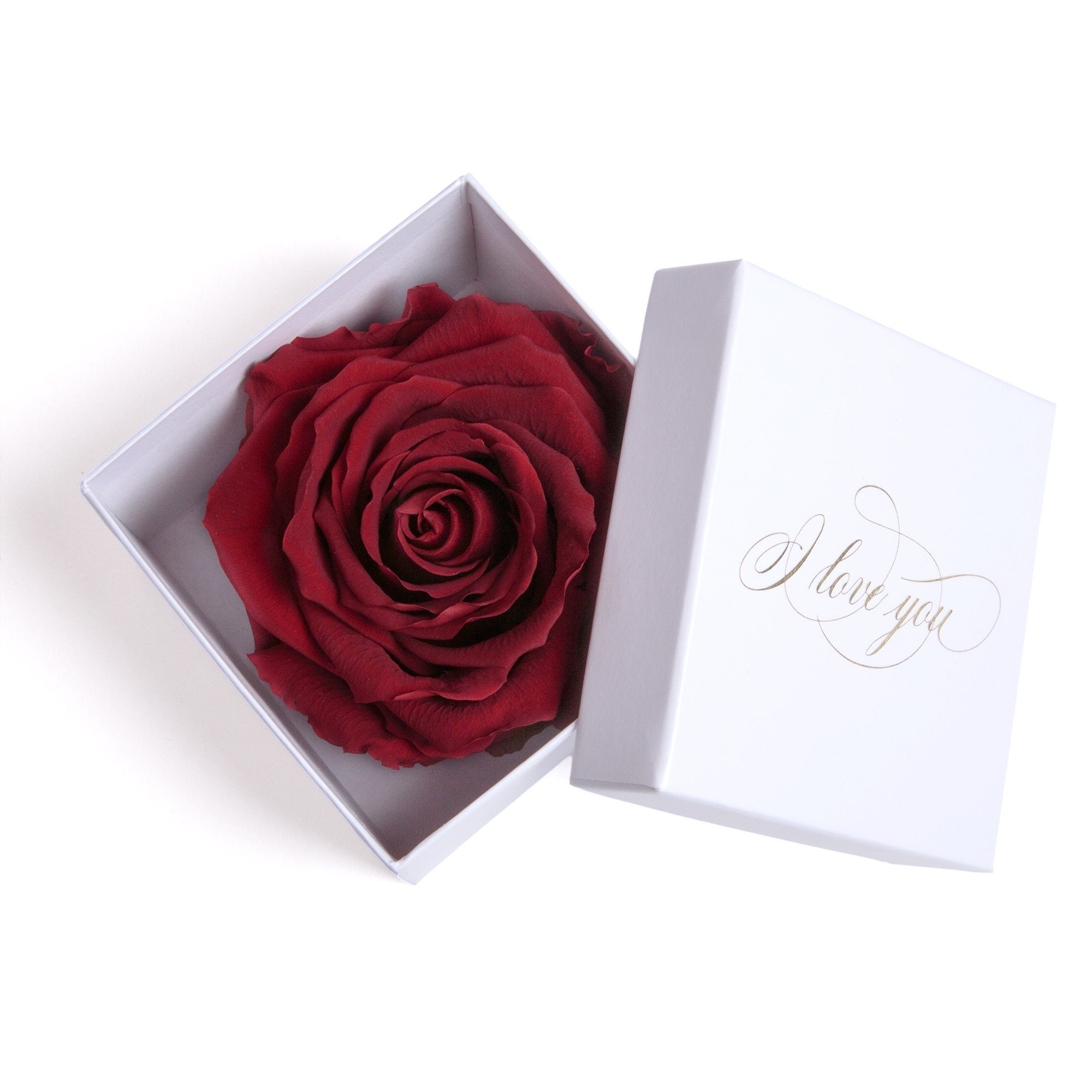 Kunstblume Infinity Rose in Box weiß I LOVE YOU Geschenk Frauen Liebesbeweis Valentinstag Rose, ROSEMARIE SCHULZ Heidelberg, Höhe 6 cm, Rose haltbar bis zu 3 Jahre burgundy