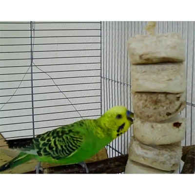 PETGARD Tier-Beschäftigungsspielzeug Vogelspielzeug Mini Bird Kabob, ideal für Sittiche und kleine Papageien