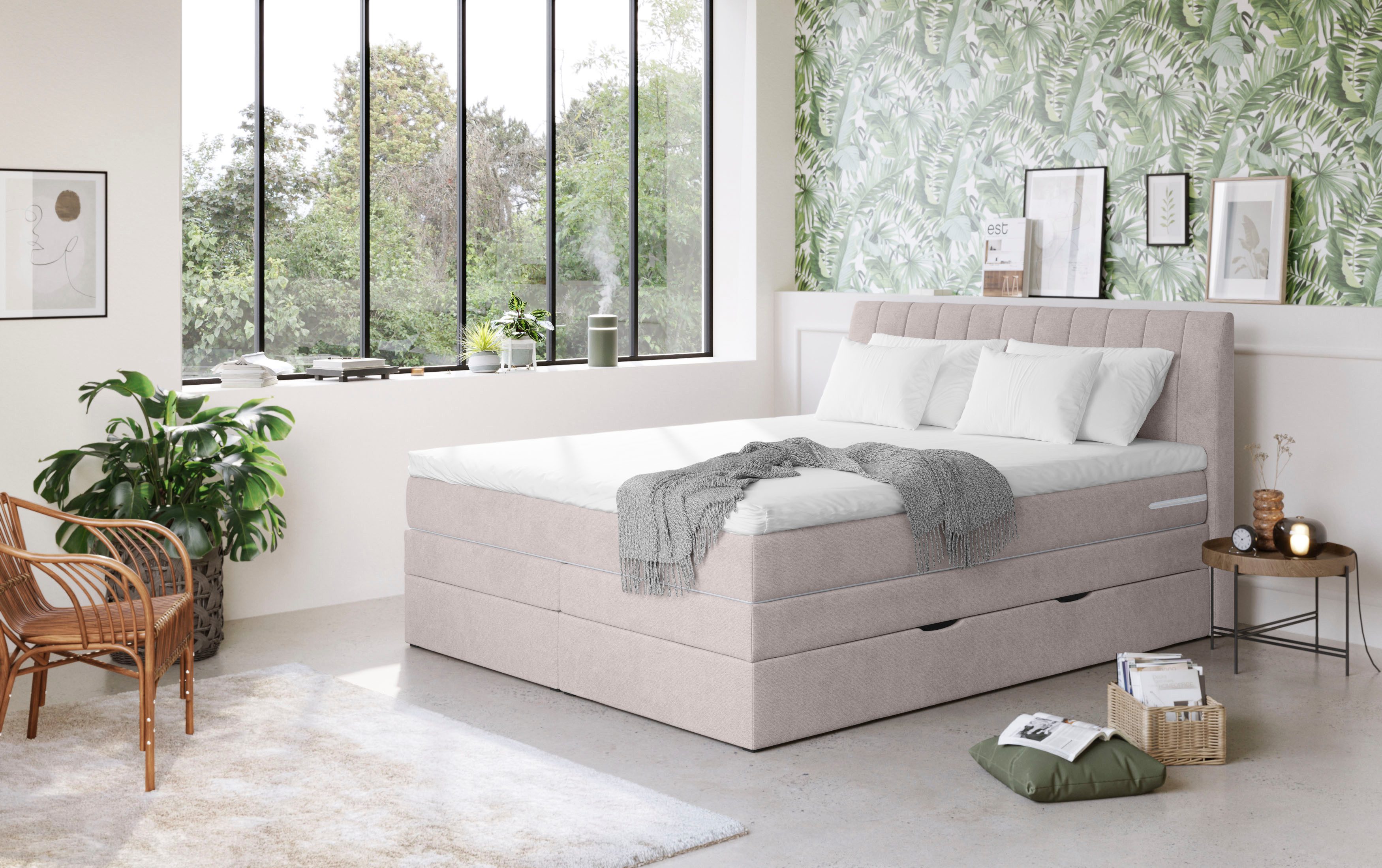 COTTA Boxspringbett Shark inkl. Bettkasten und Topper, erhältlich in den Br günstig online kaufen