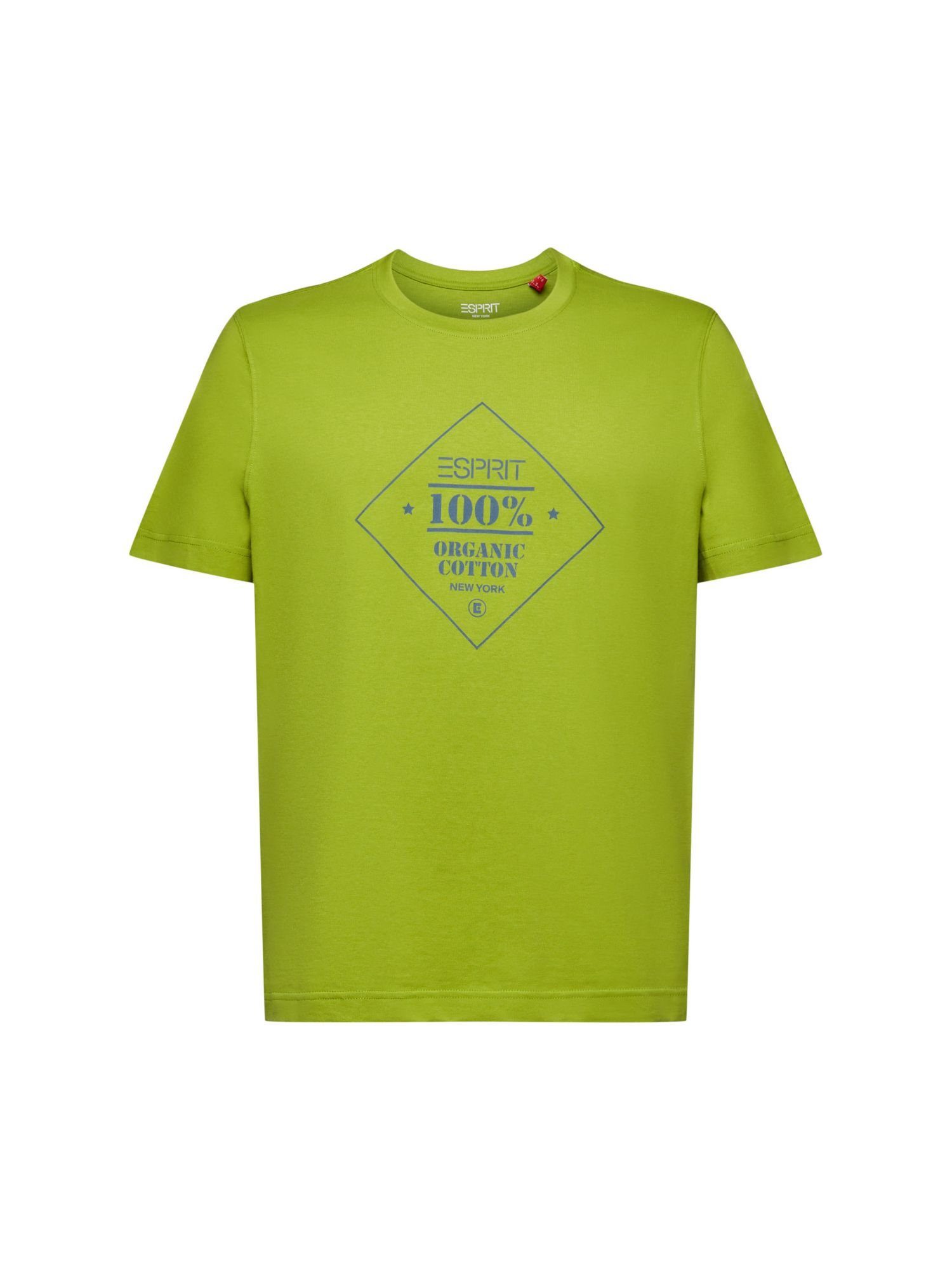 Esprit T-Shirt Baumwoll-T-Shirt mit Logoprint (1-tlg) LEAF GREEN | T-Shirts