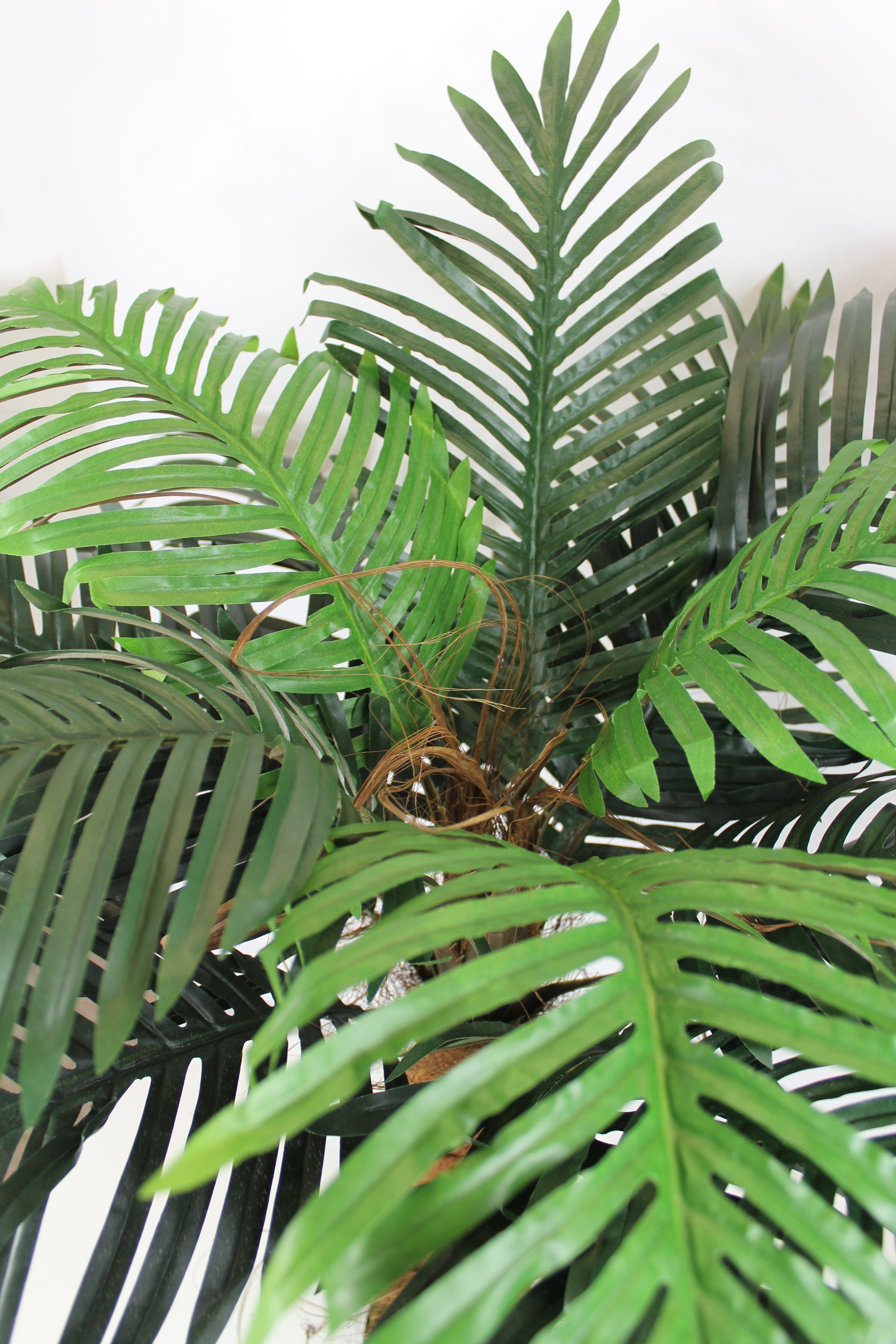 100 Höhe cm, 100 Arnusa, Palme, Palme wie echt Kunstpalme cm Pflanze künstliche Kunstpflanze Real-Touch