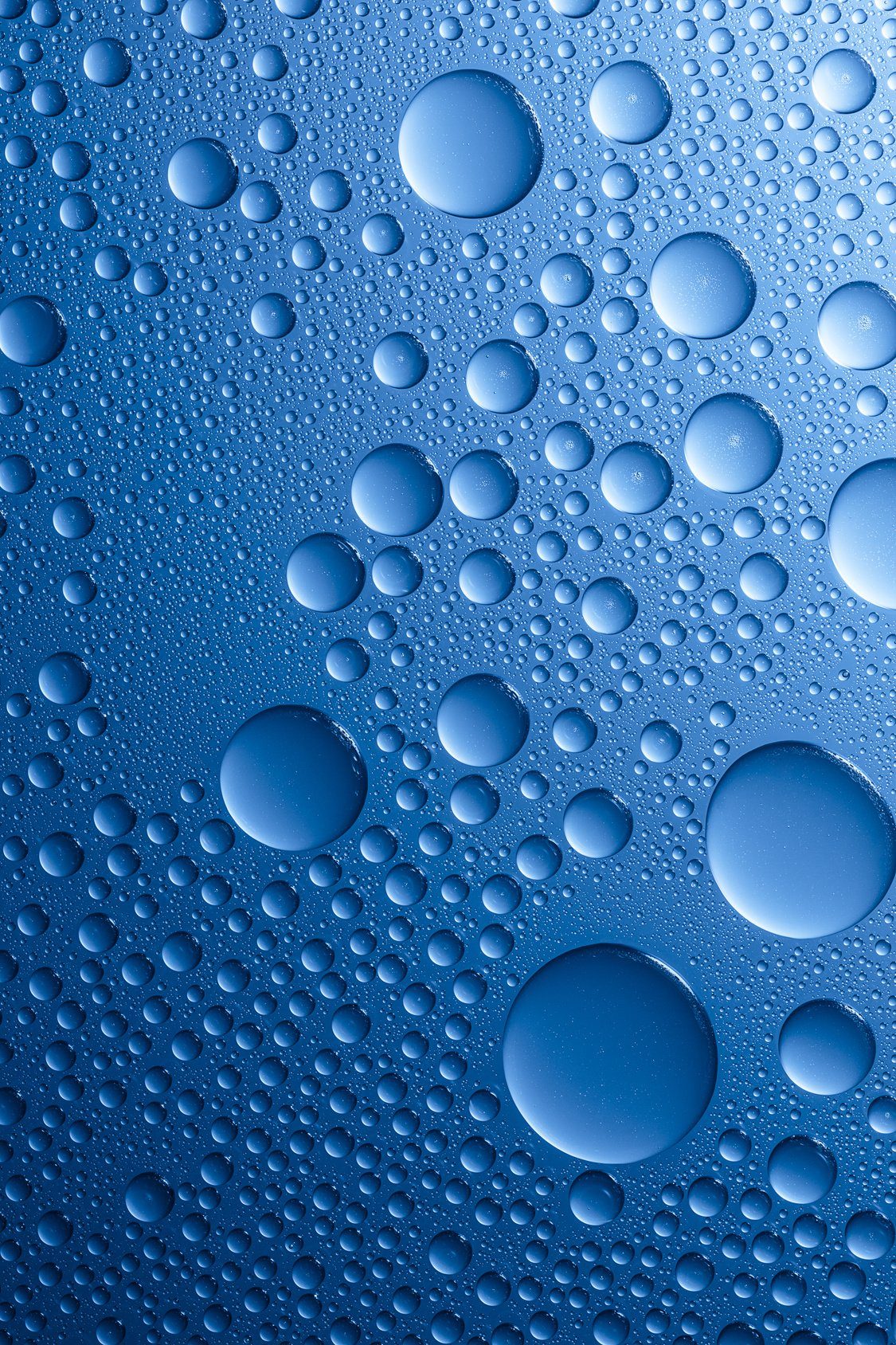 CleanPrince Glas-Versiegelung mit Lotuseffekt Scheibenversiegelung, Made in Germany