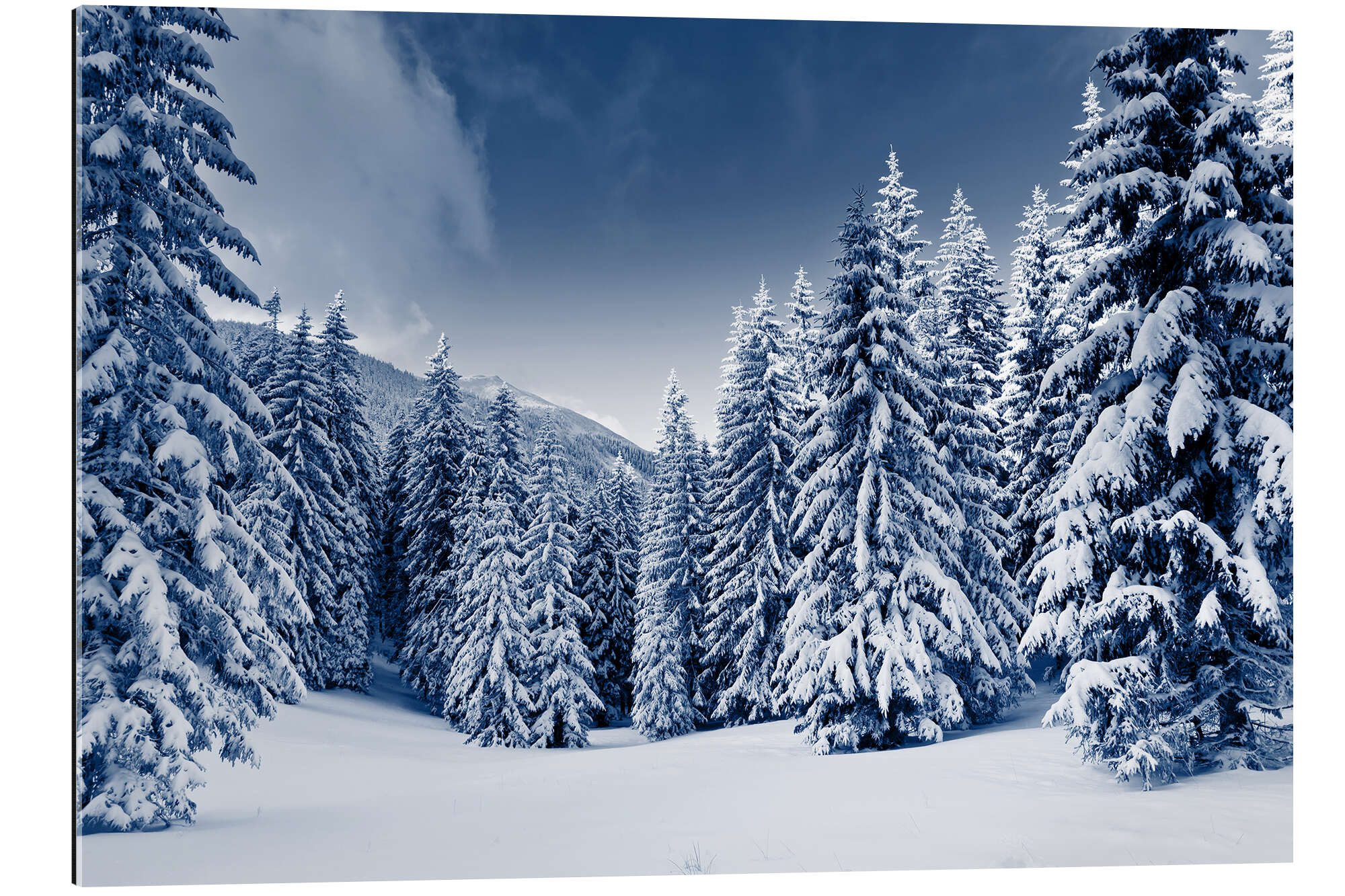 Posterlounge XXL-Wandbild Editors Choice, Winterlandschaft mit schneebedeckten Bäumen, Fotografie