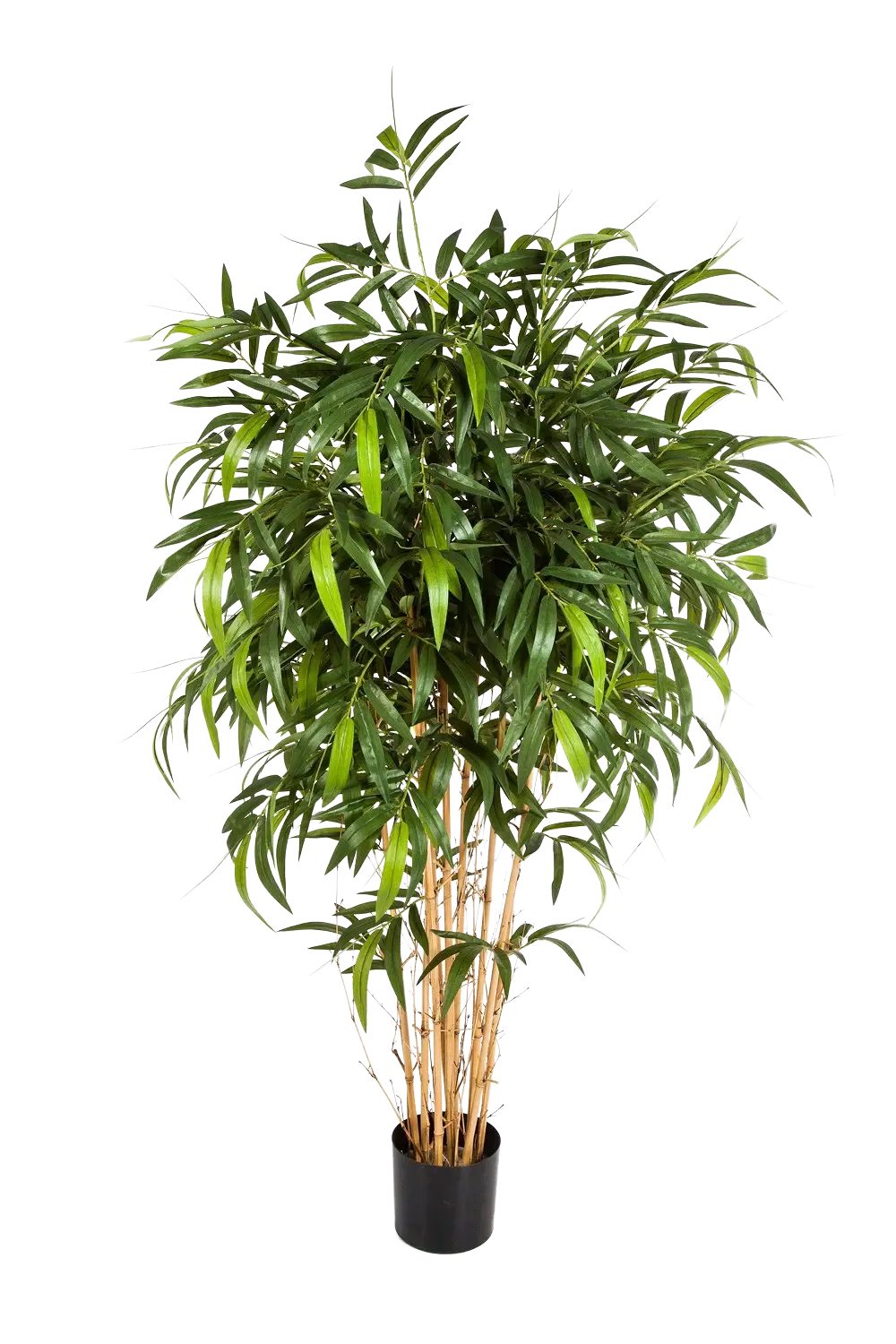 Kunstbaum Künstlicher Bambus - Maxim, 300 cm, aplanta